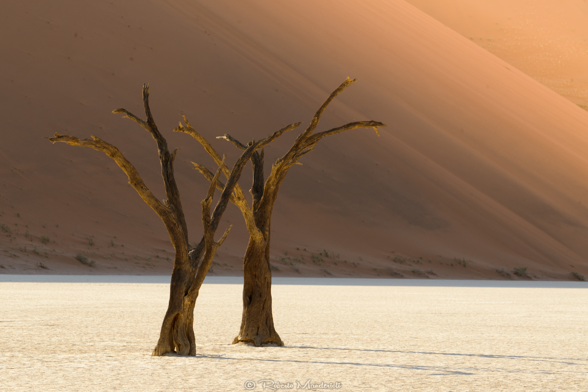 Alba a Deadvlei