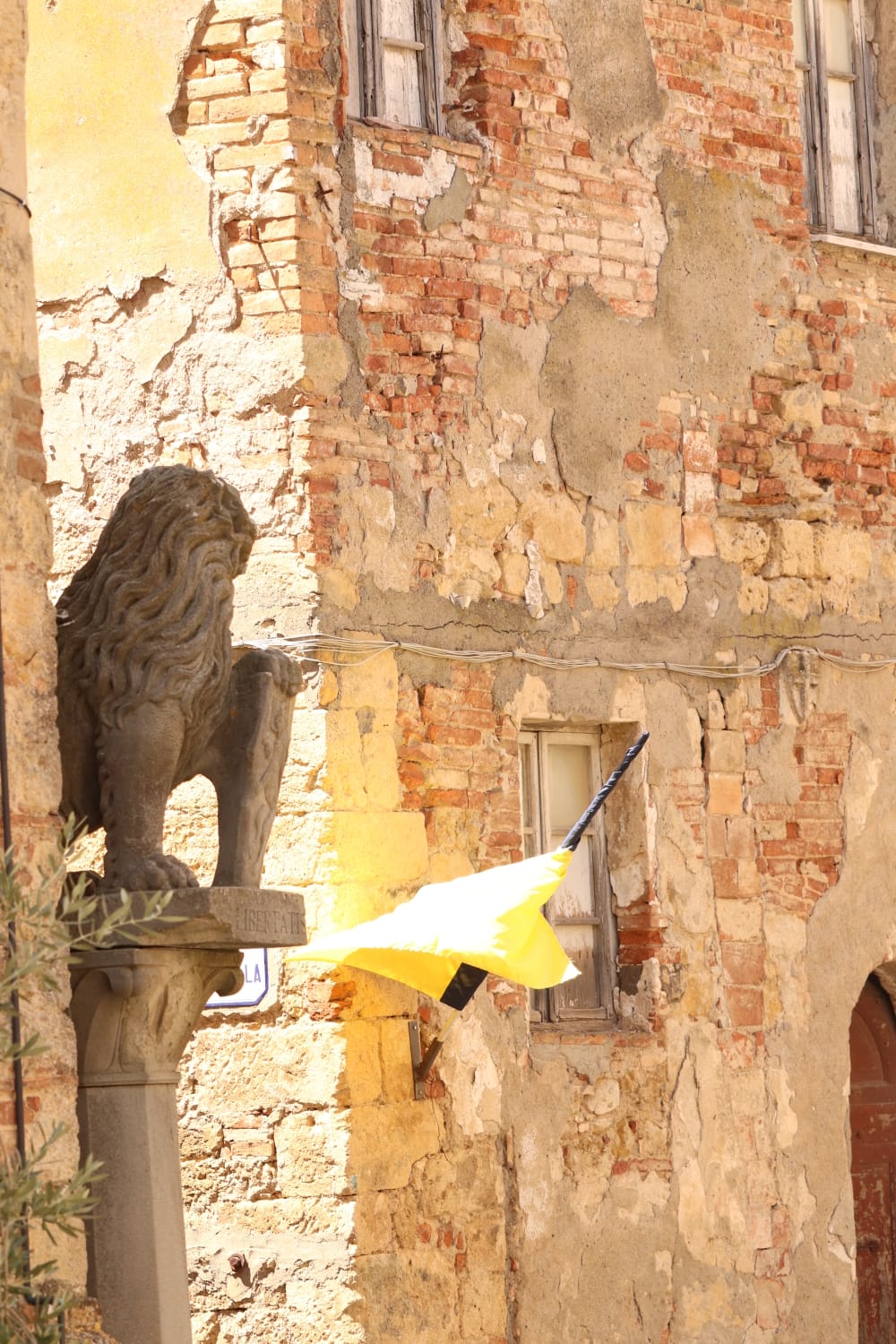 The Marzocco - Pomaranci