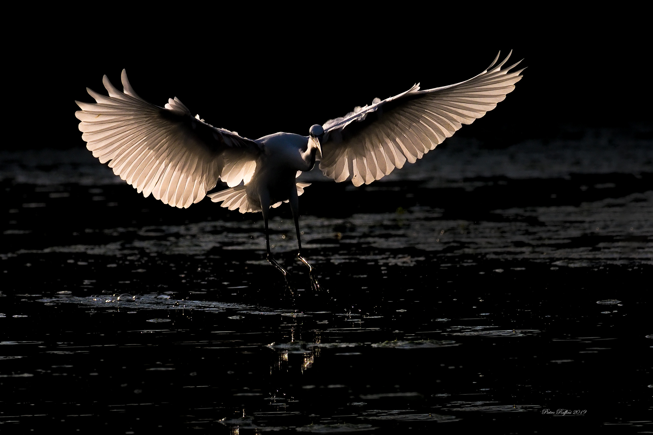 Con il primo raggio di sole