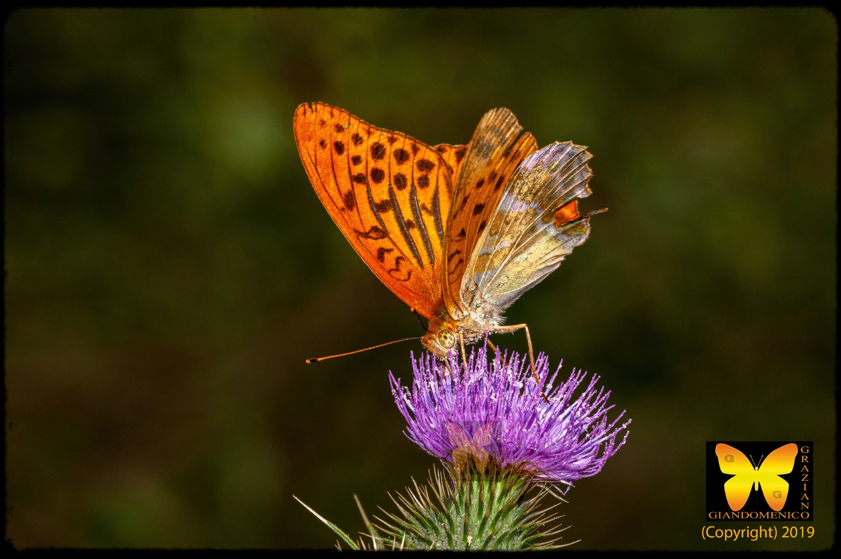 aspettando la grigliata con la d300 in mano