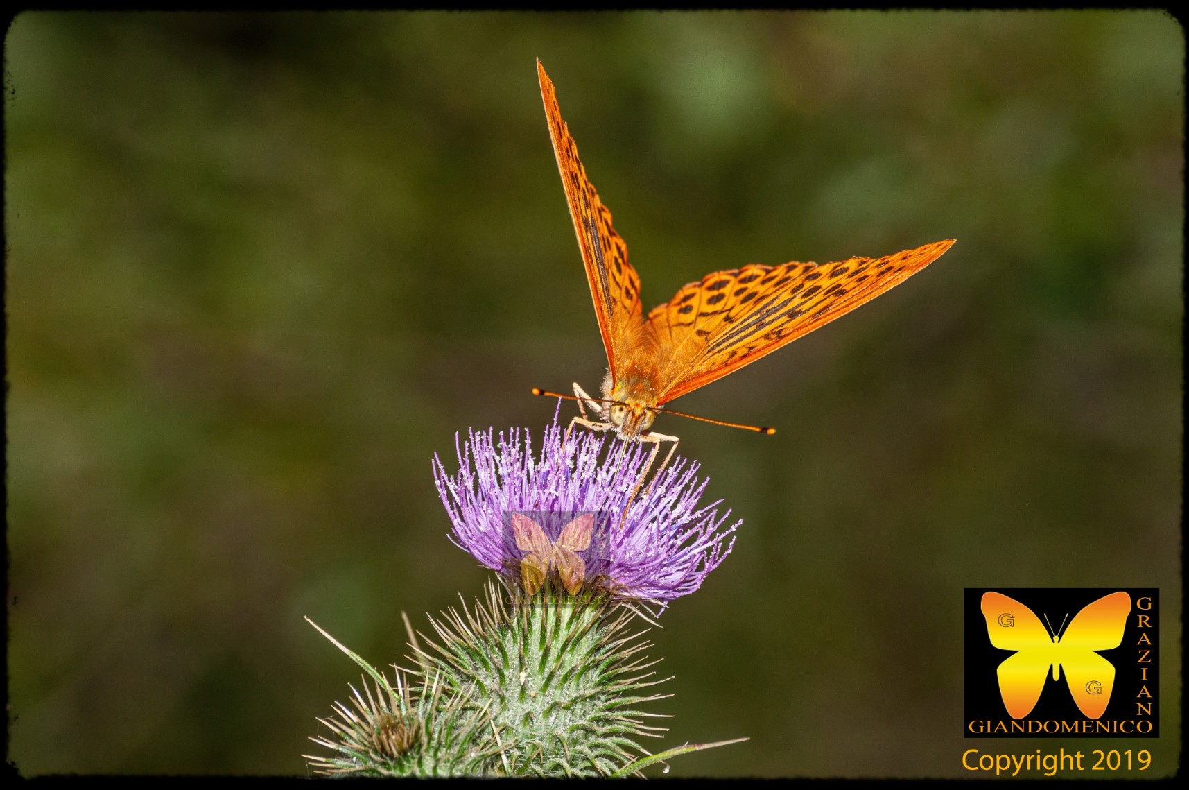 waiting for the grill with the d300 in hand p.2
