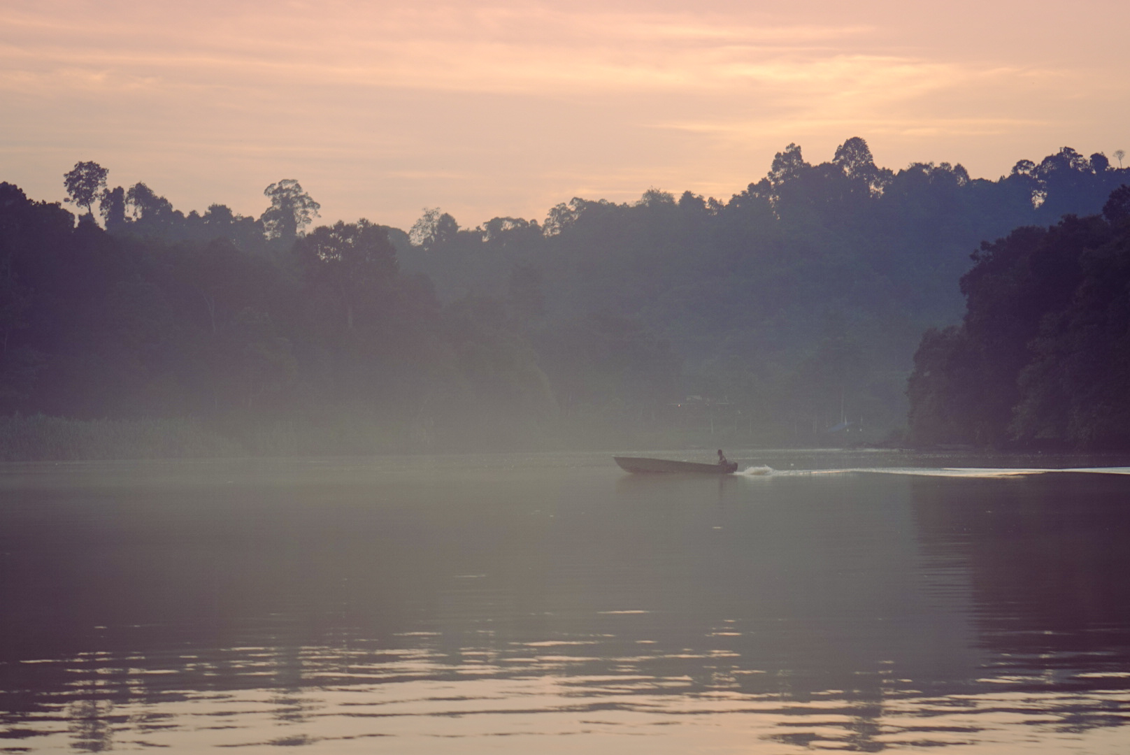 Borneo - kinabatangan river