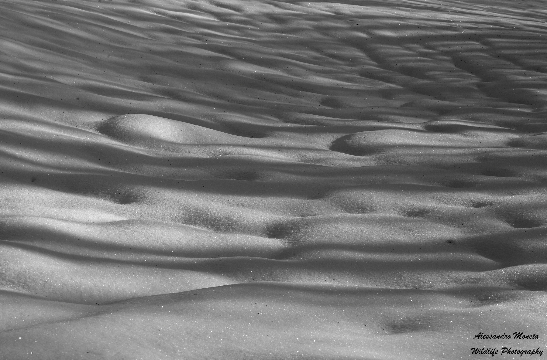 Lights and Shadows 4