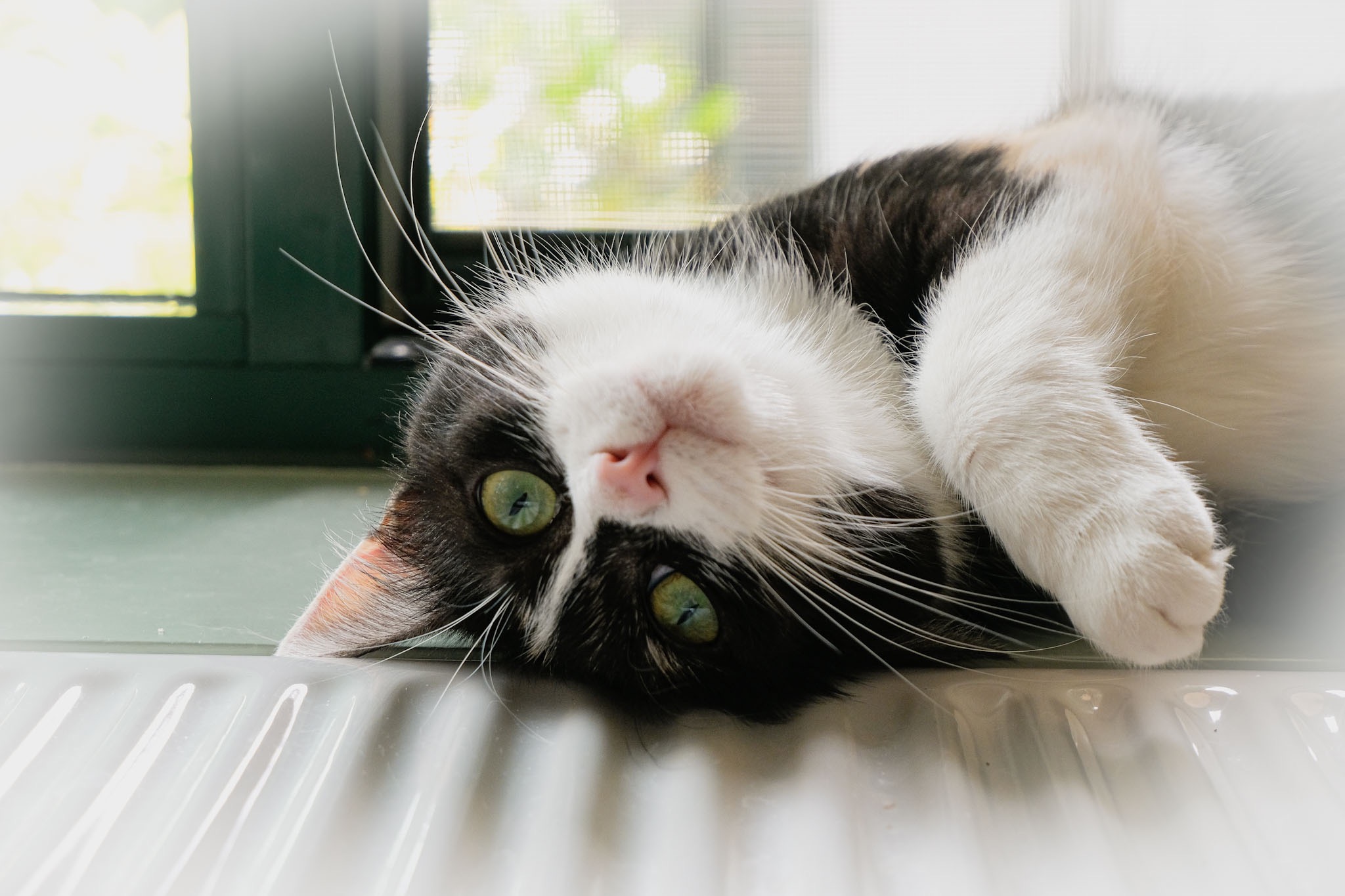 And he's taking pictures...