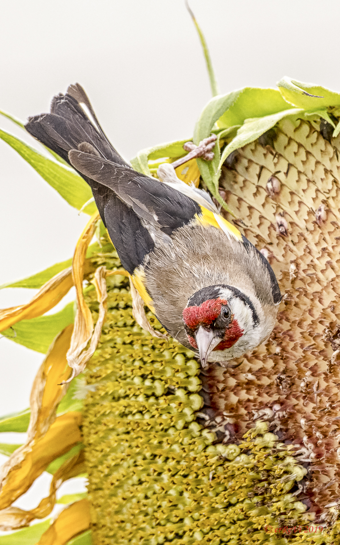 Al lavoro per i piccoli