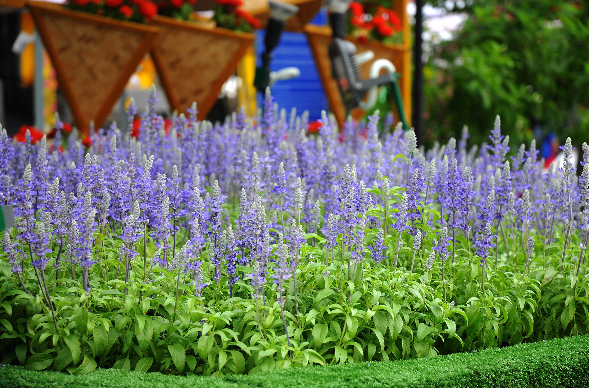 New people join the forum