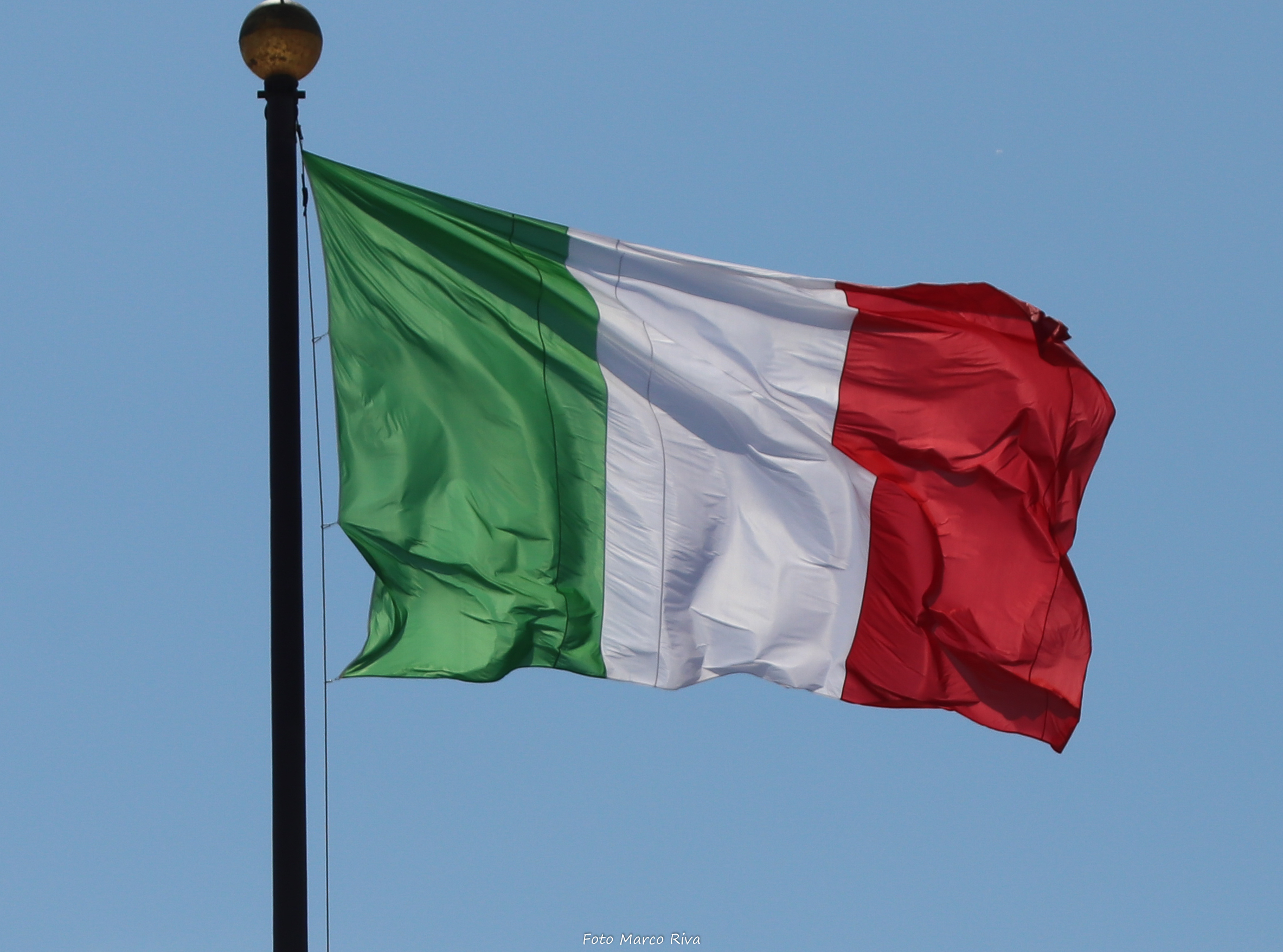 The tricolor that stands out