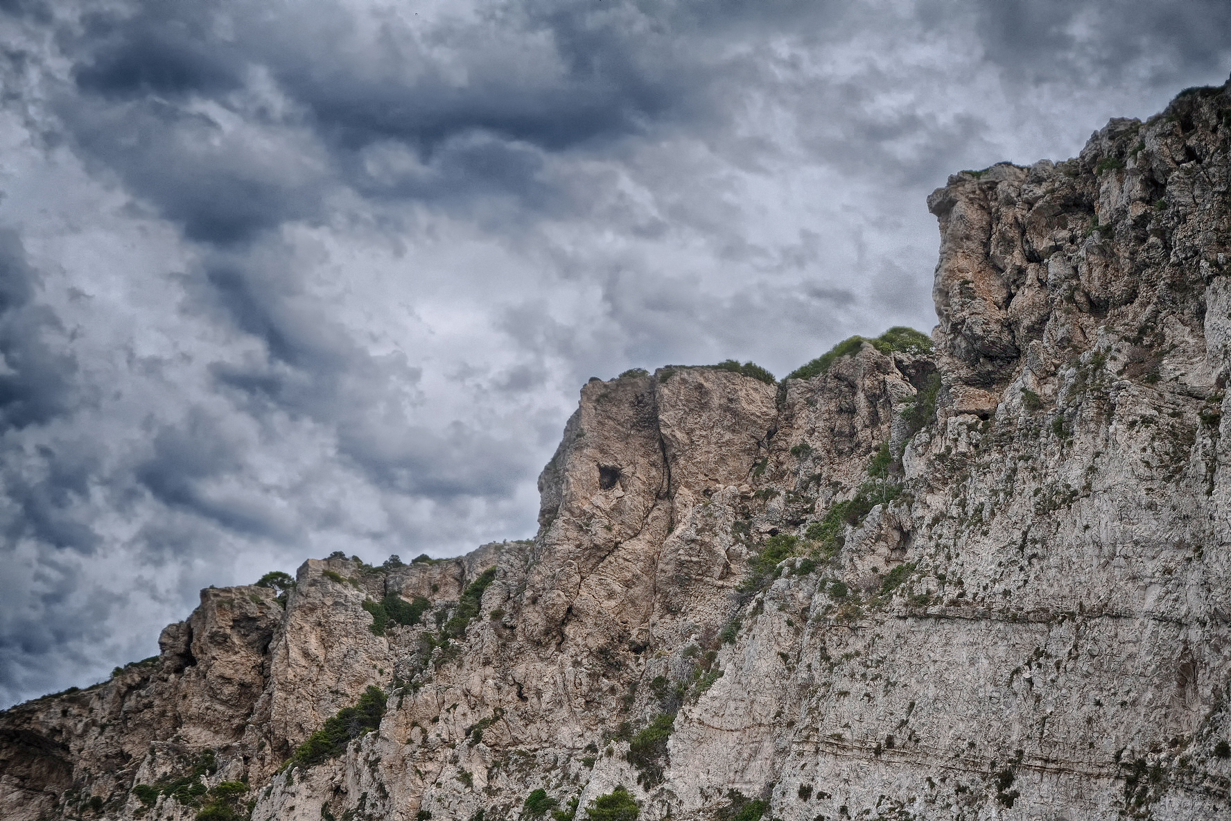 The Elephant at the Tremors