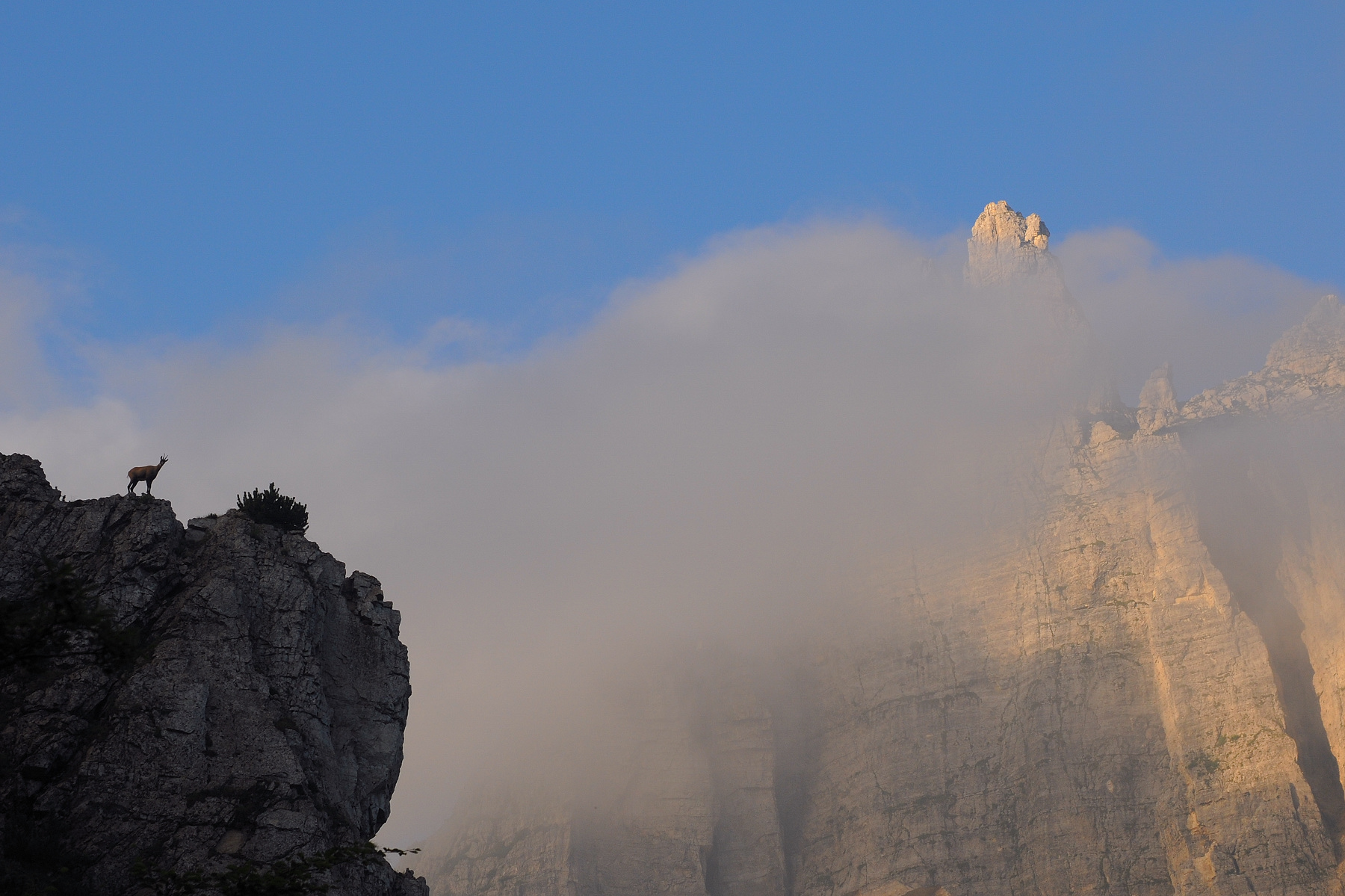 Fumante con camoscio