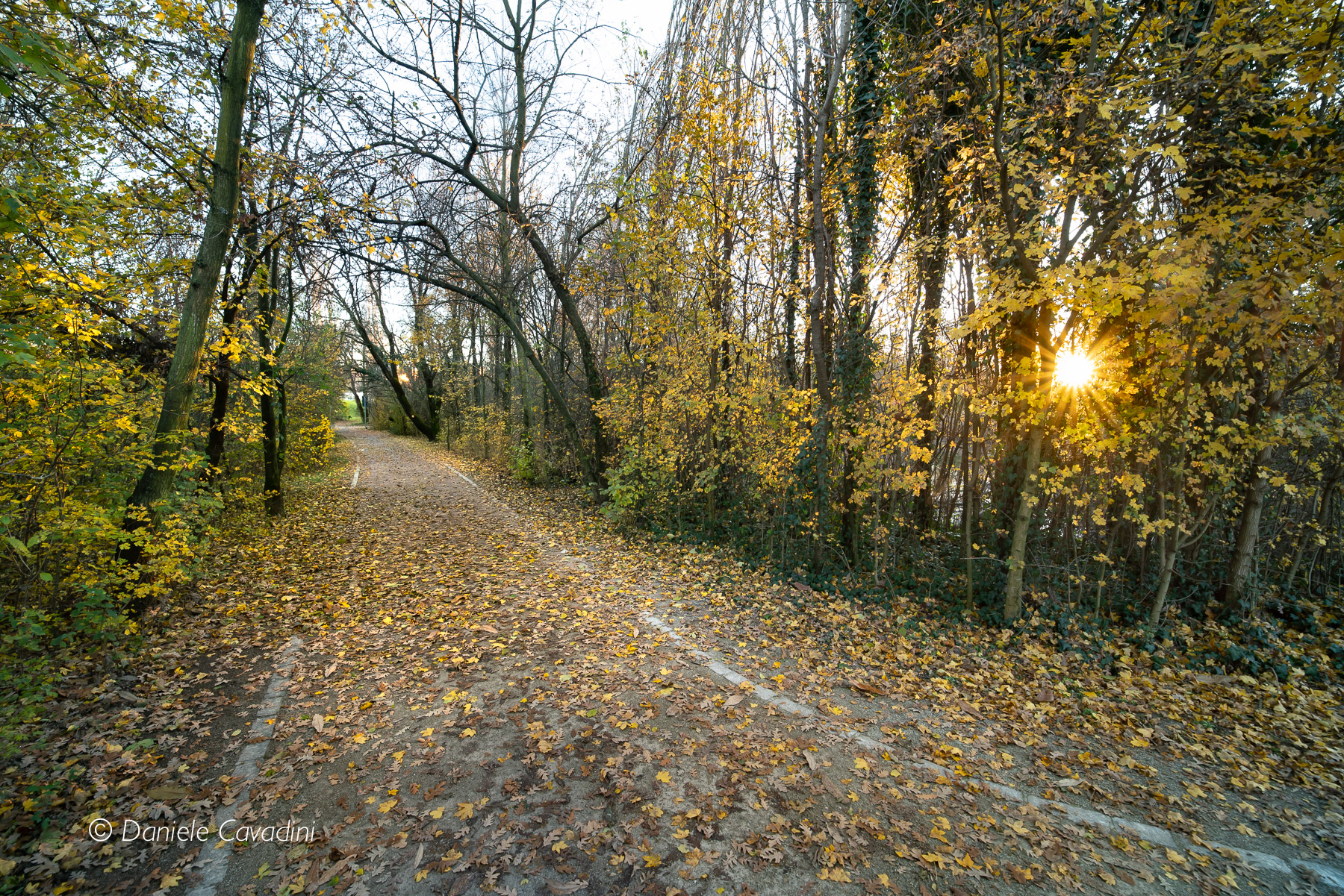 Samyang Premium trials 14mm f/2.4