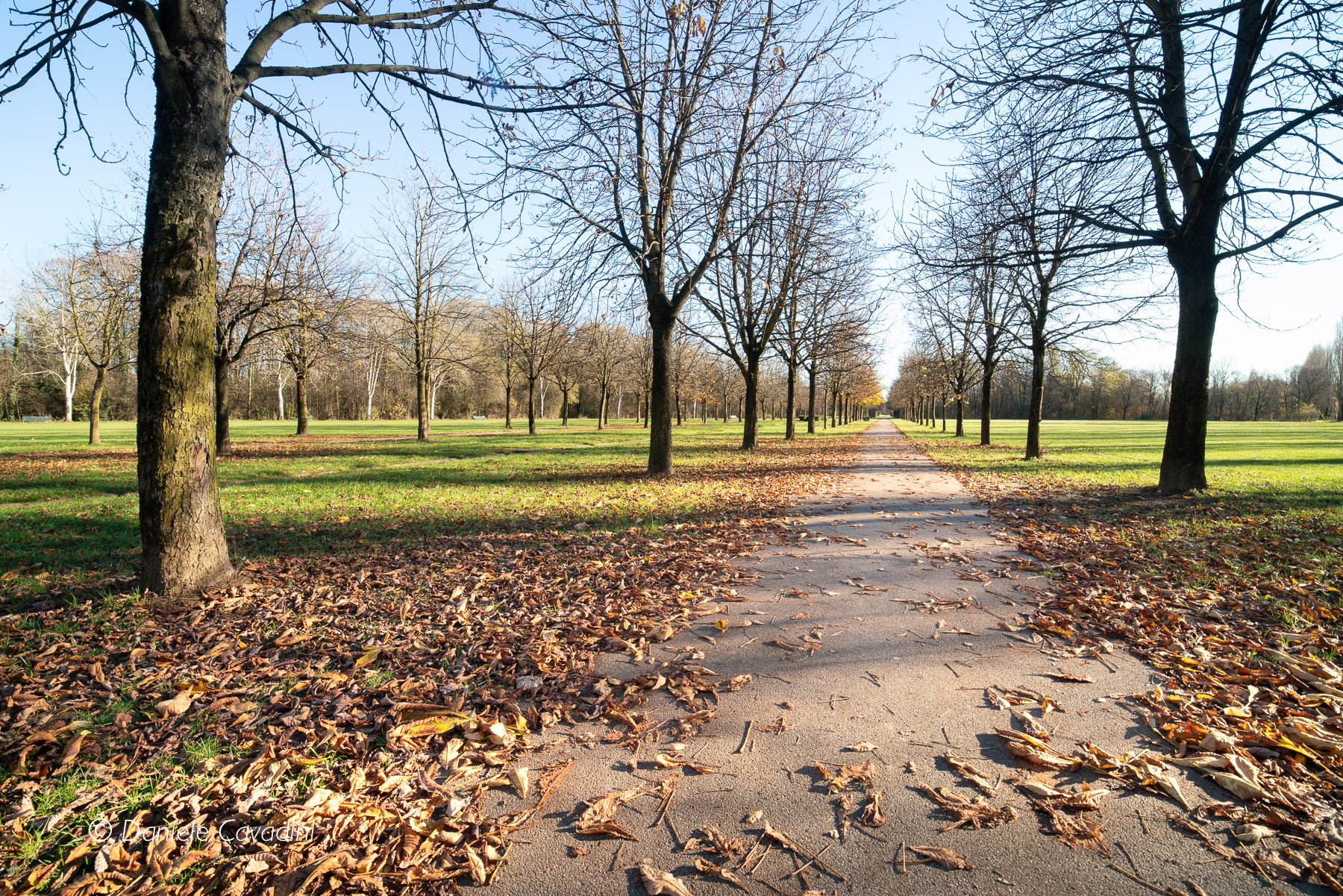 Samyang Premium trials 14mm f/2.4