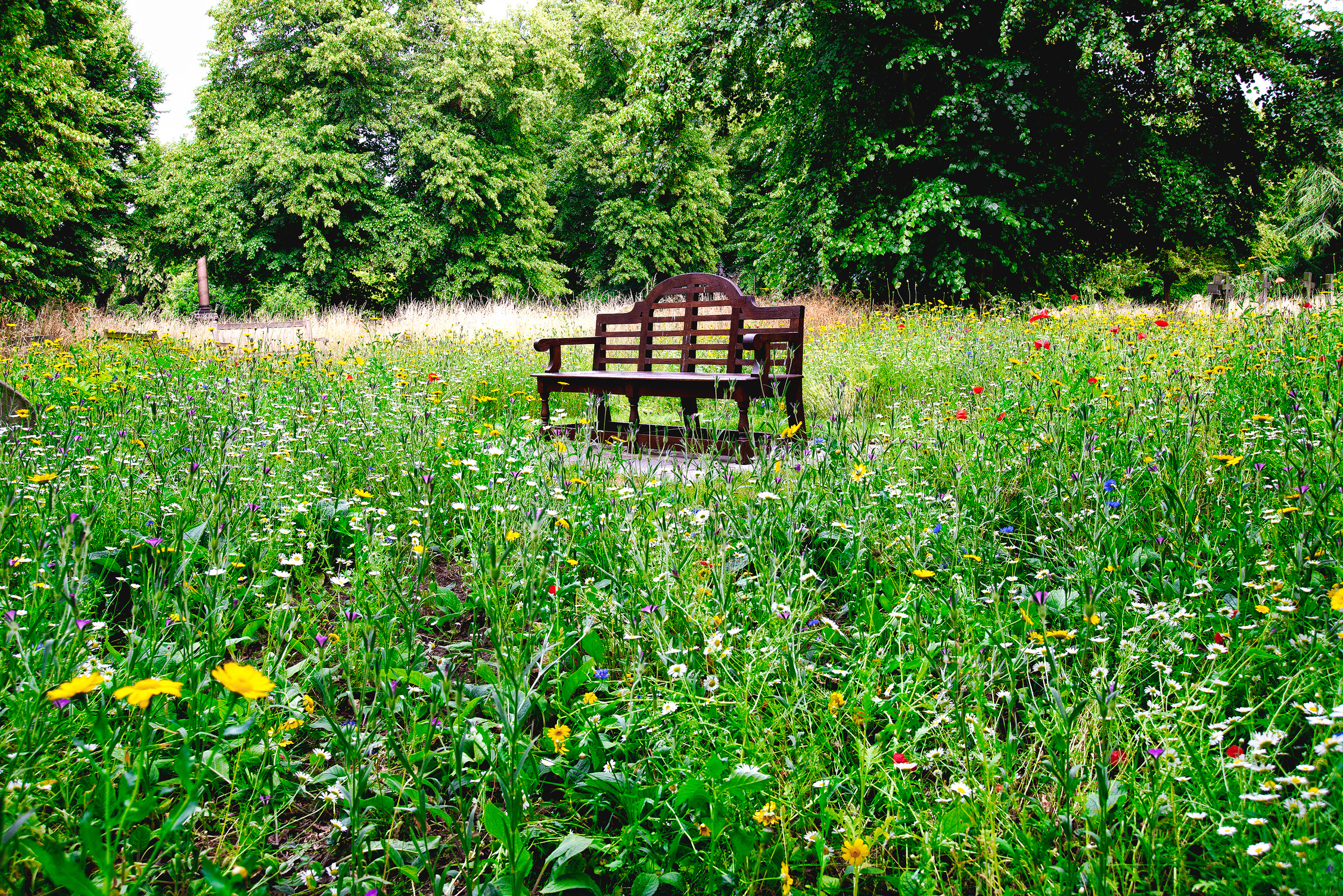 Silent conversations......