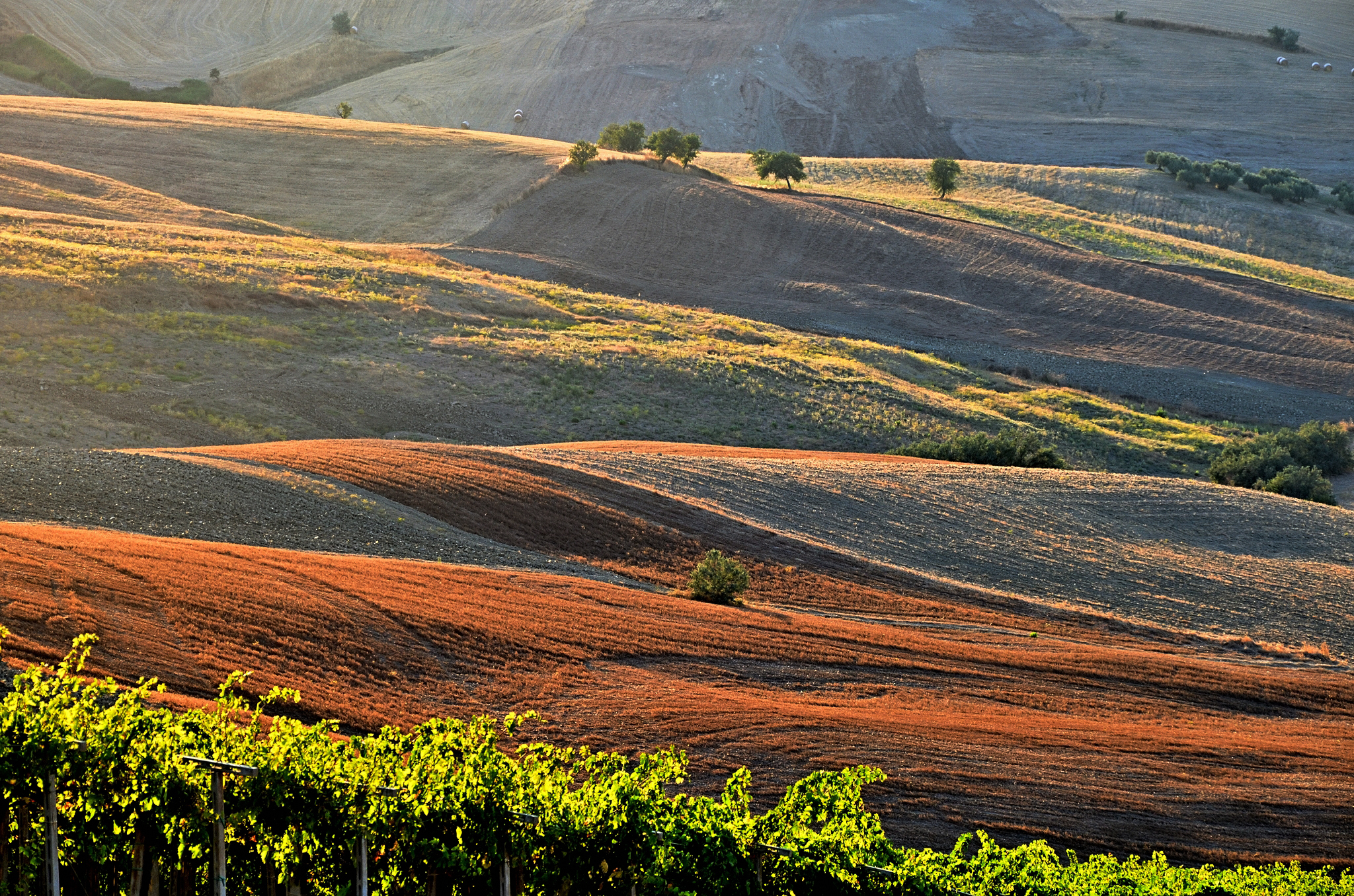 L'estate sta finendo...