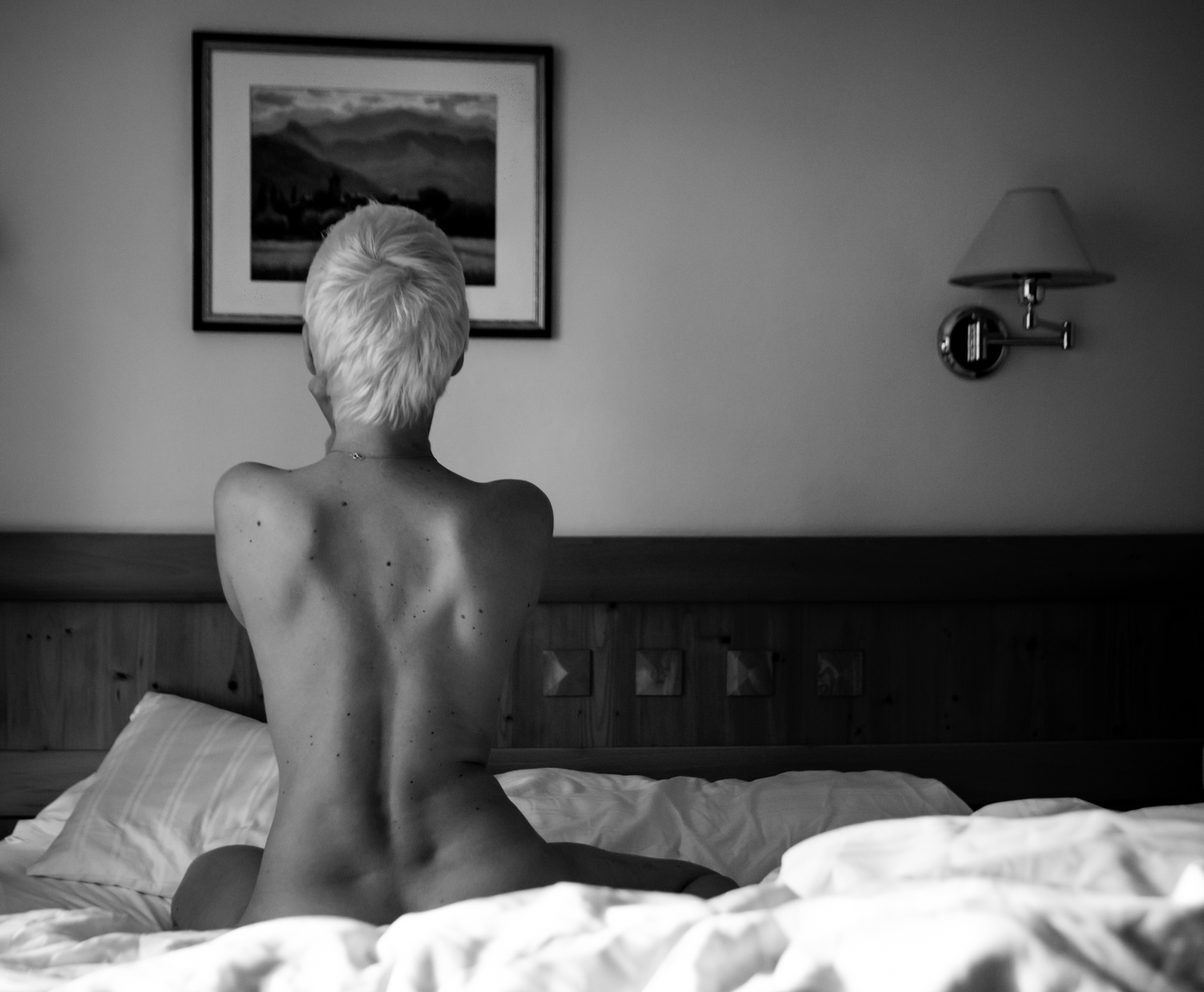 osservando il quadro