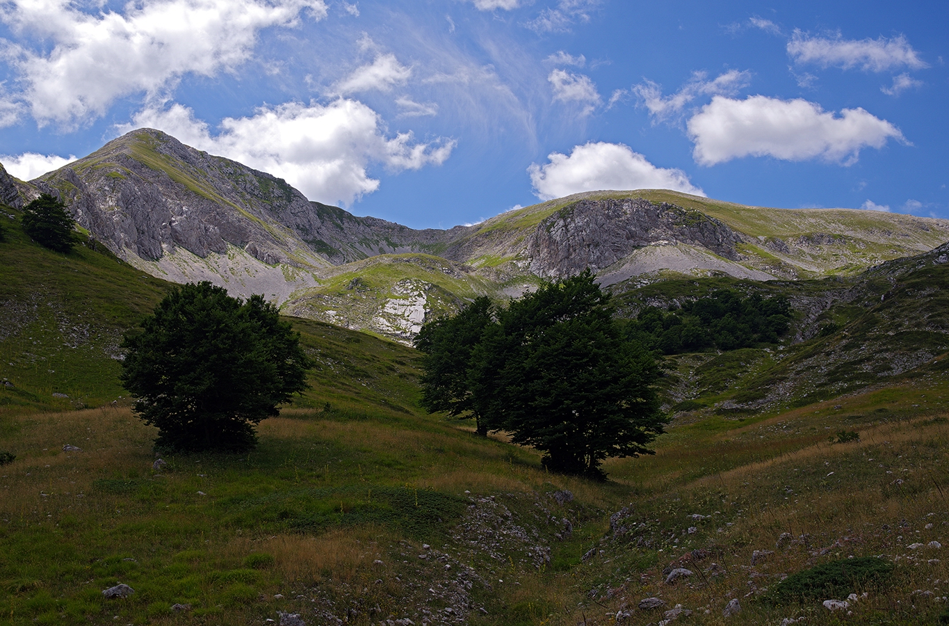 Bear Hills and Punta Trieste