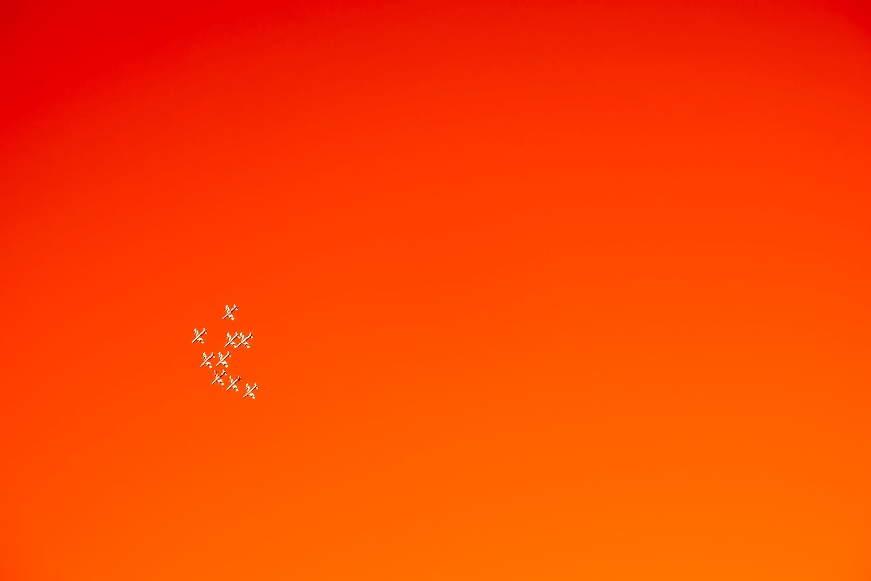 Tricolor Arrows