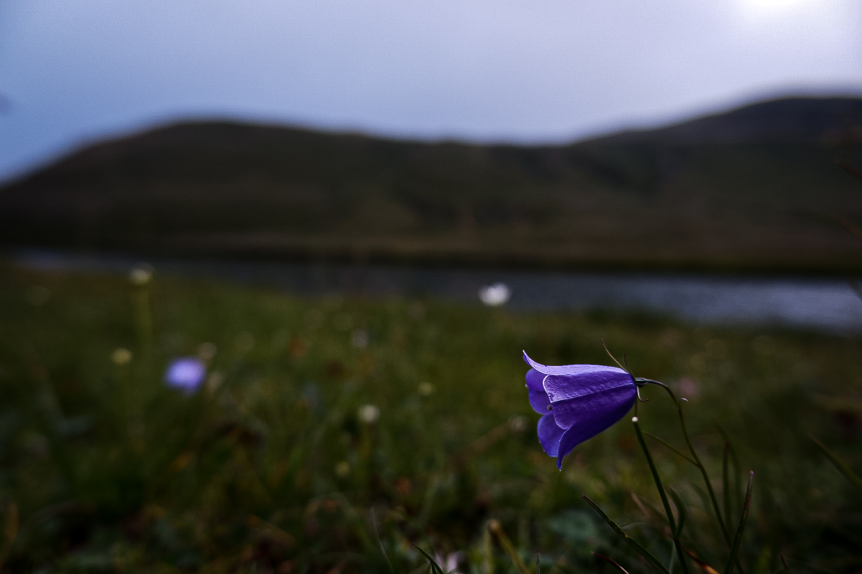Flora Dimon Lake