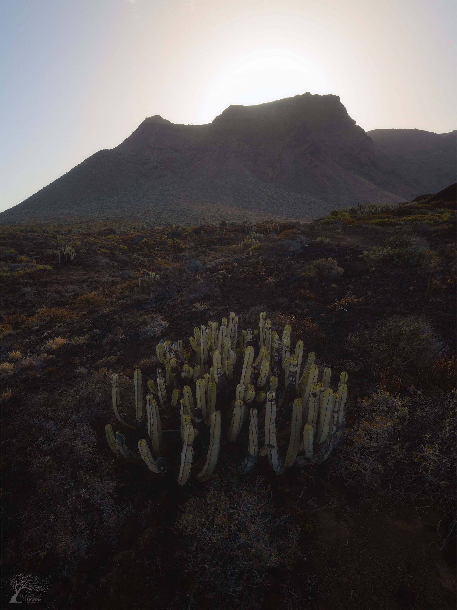 Parco rurale di Teno
