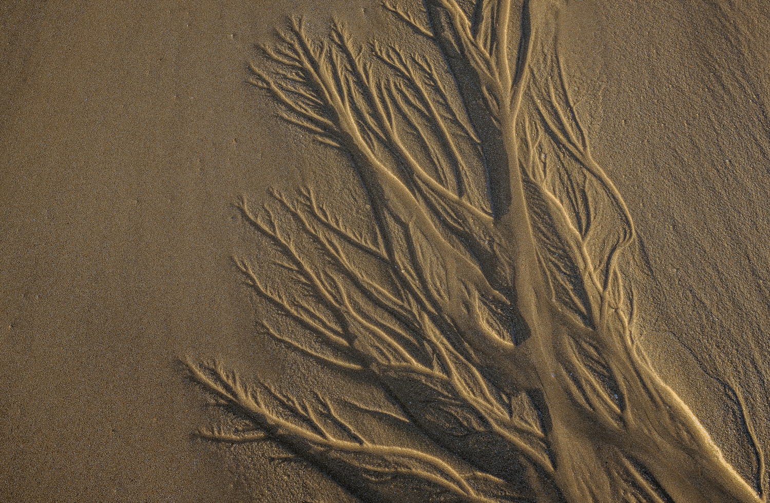 effetto ottico sabbia acqua