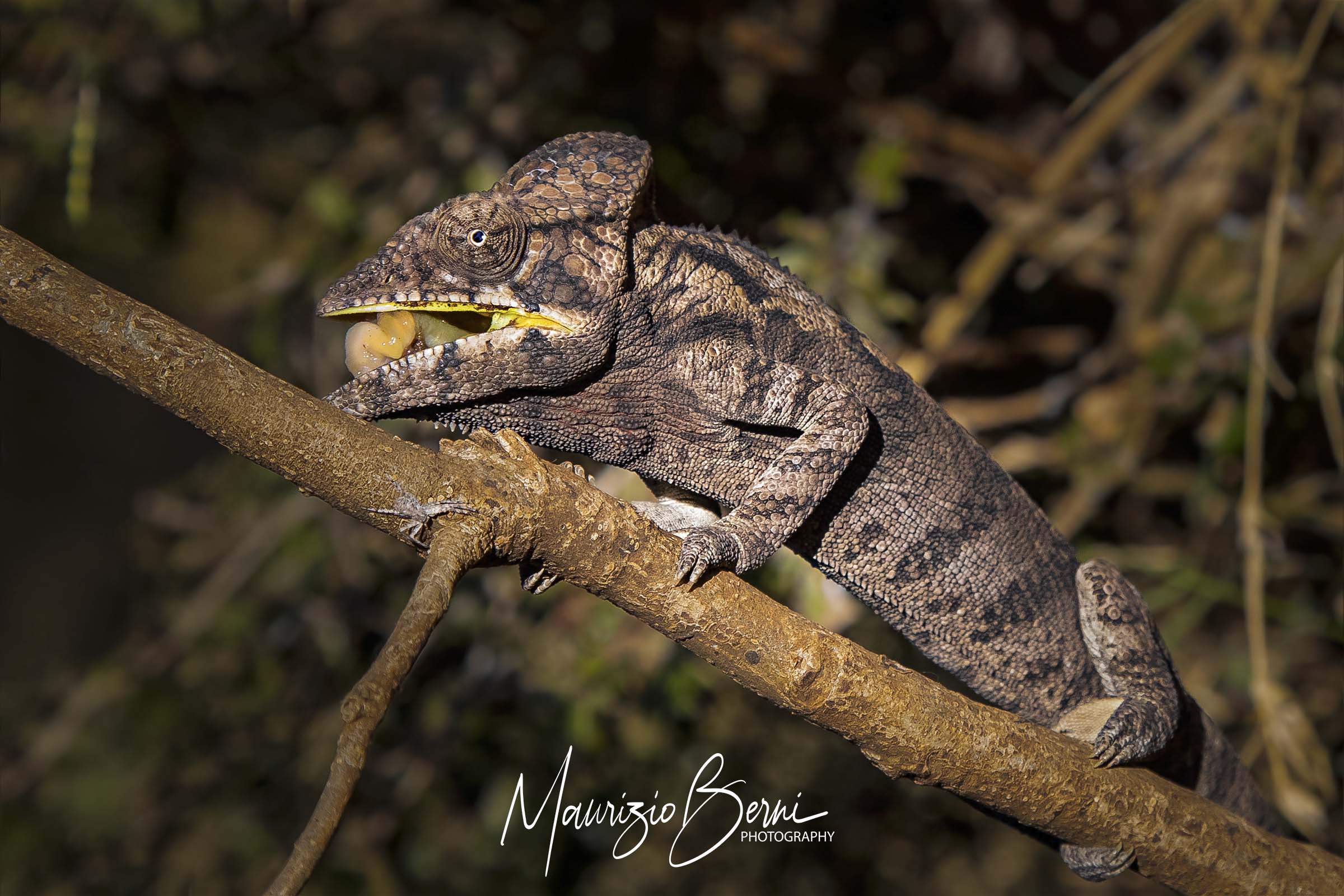 A pranzo con il Gigante