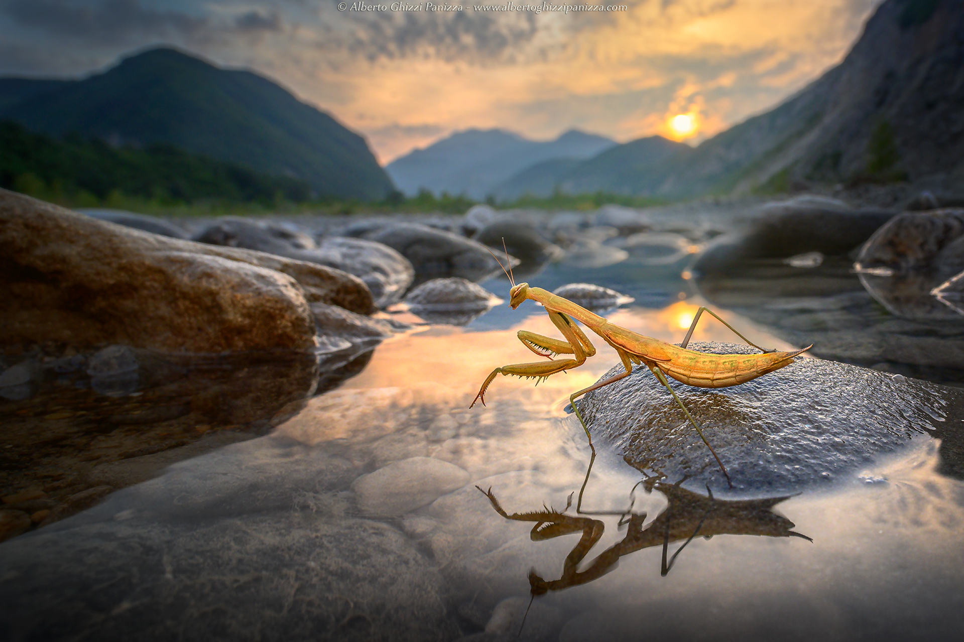 Enchanted by her reflection