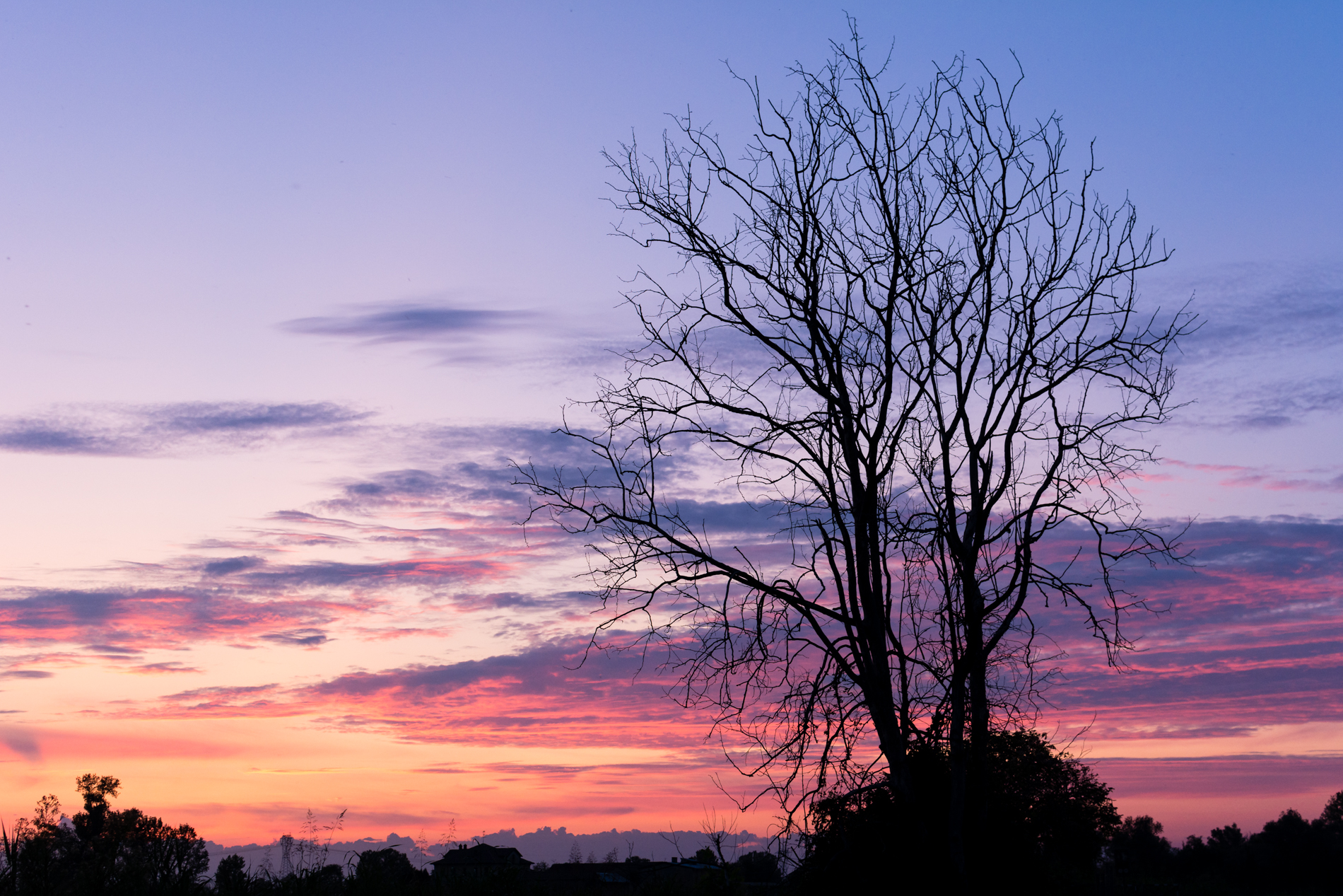 Quando la Post Produzione diventa superflua