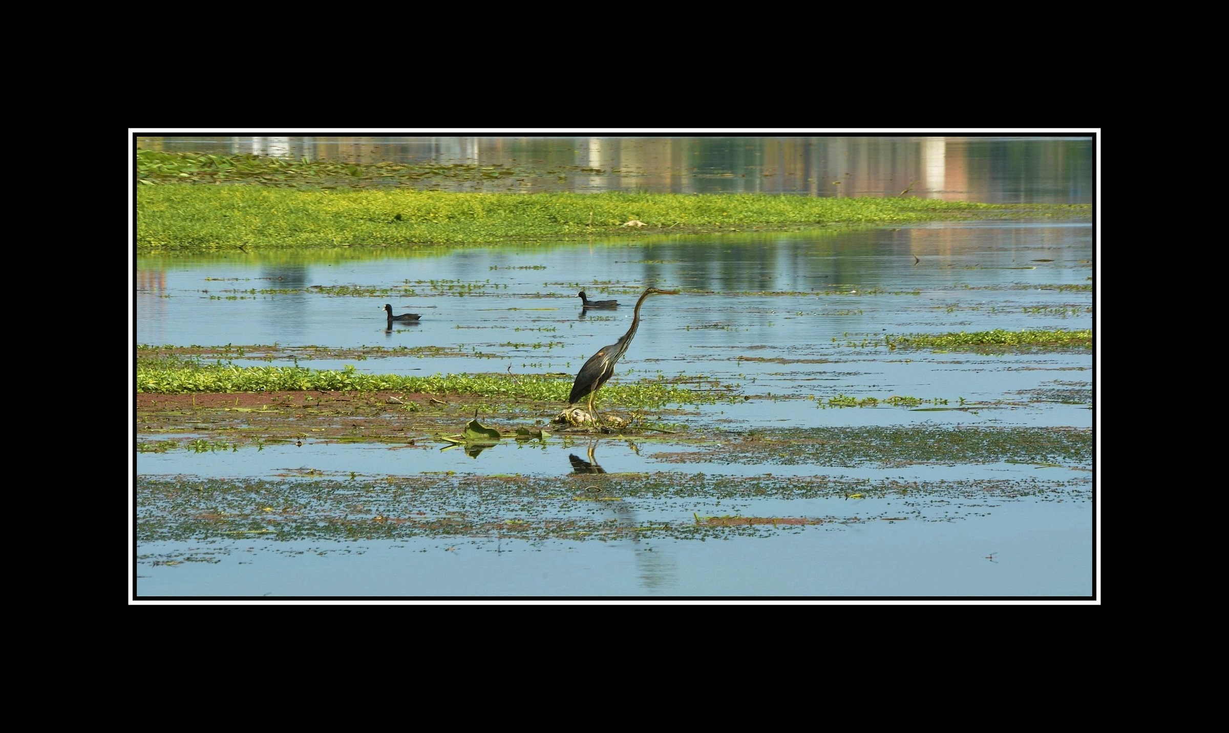 Non ti curar di loro...