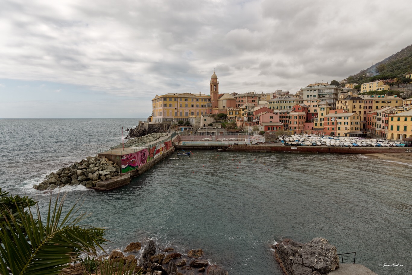 Nervi