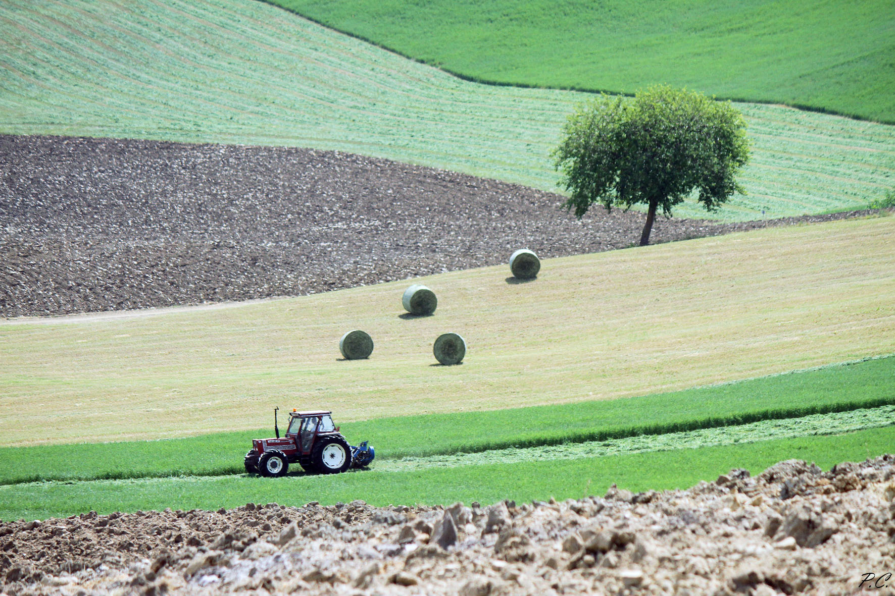 balle appenniniche 2