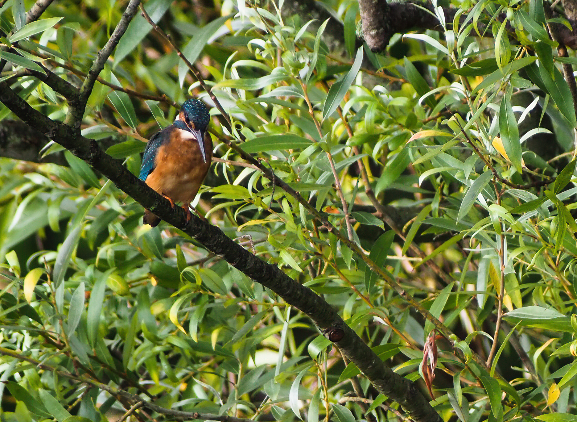 Dalla torre di controllo