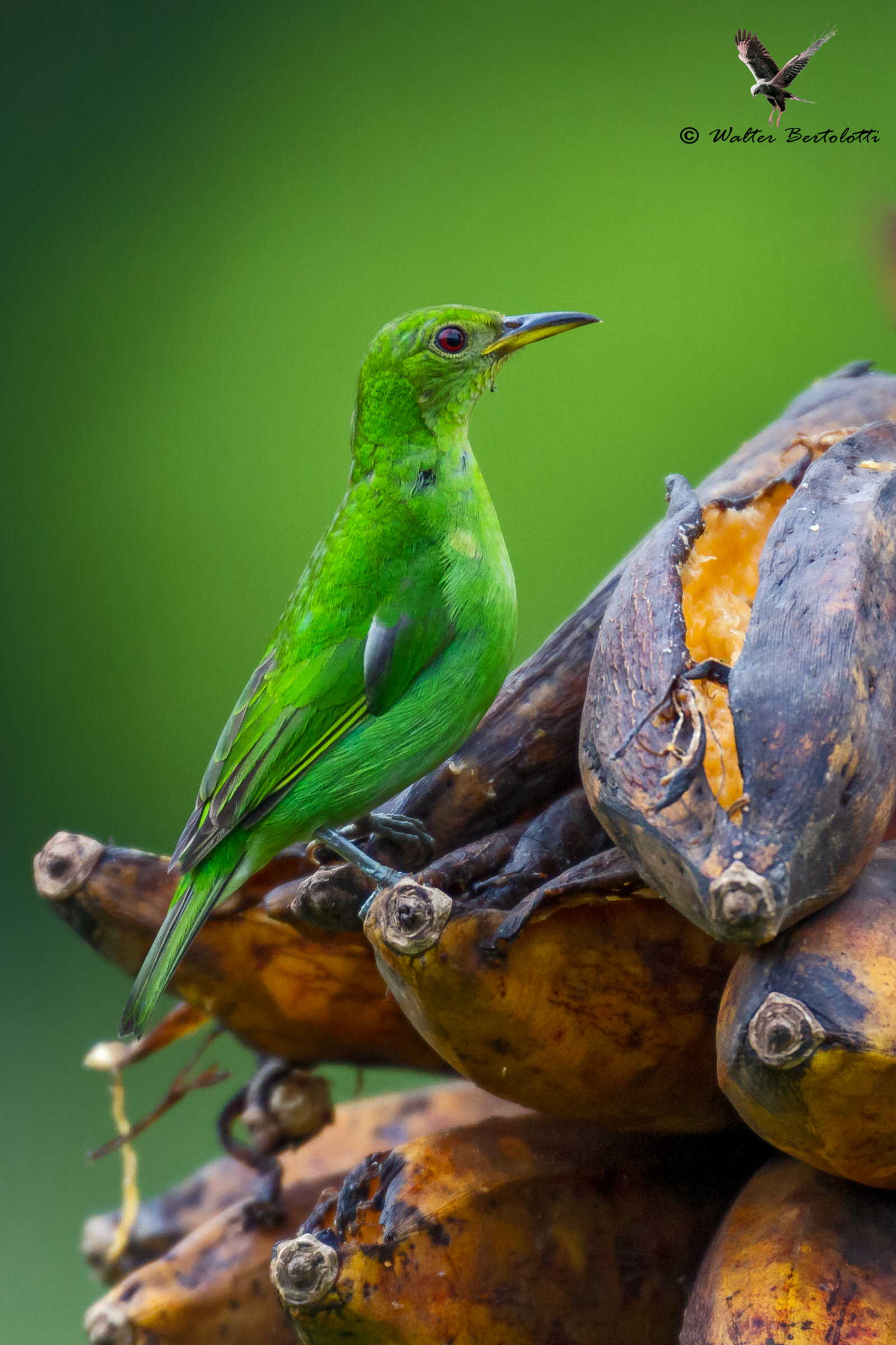colazione, pranzo e cena