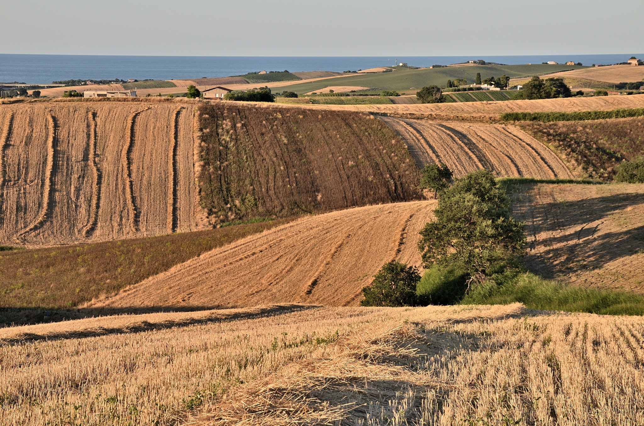 Sea-view poggio