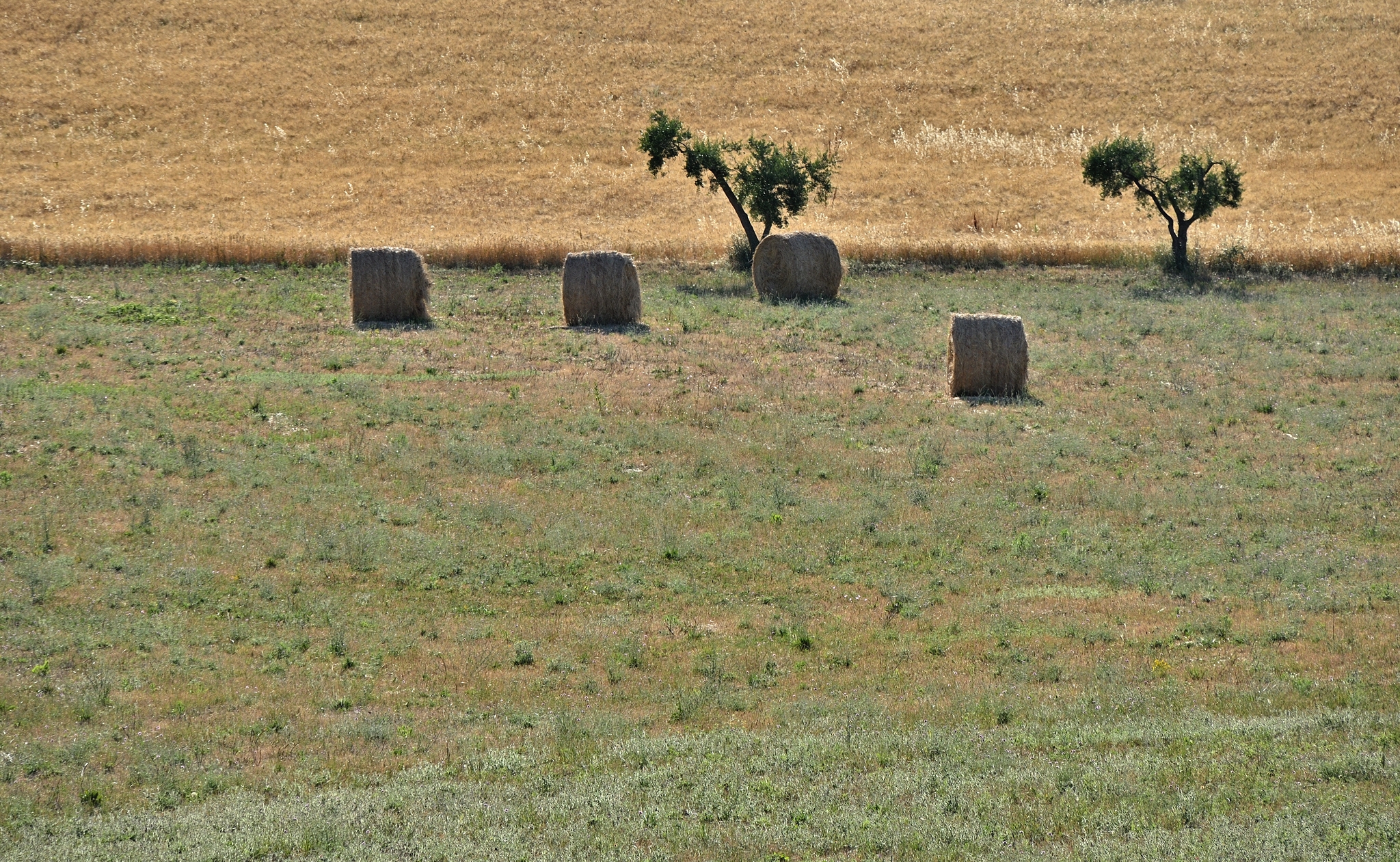 Looking for friendship