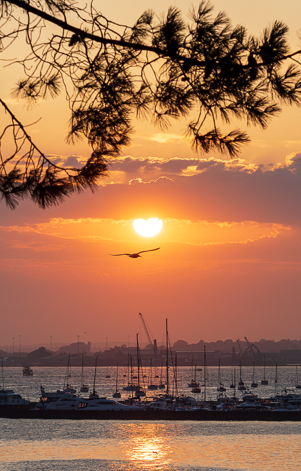 Tramonto - Ieri Sera