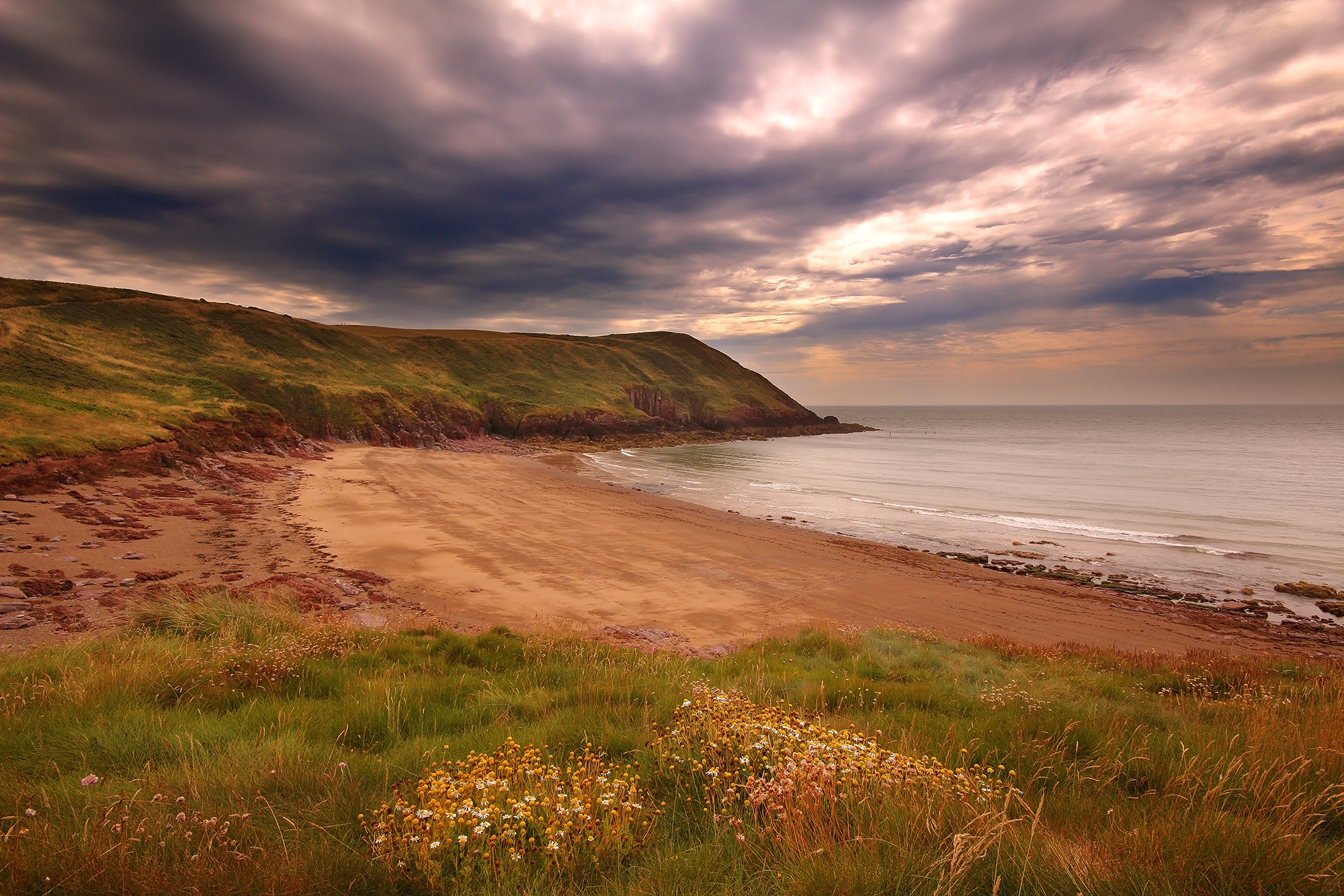 Pembrokeshire quanto sei selvaggio!