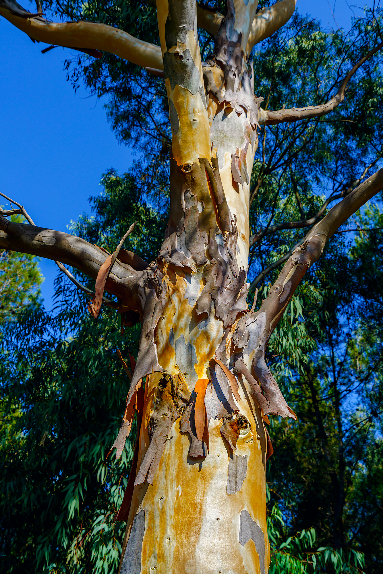 nature... great painter