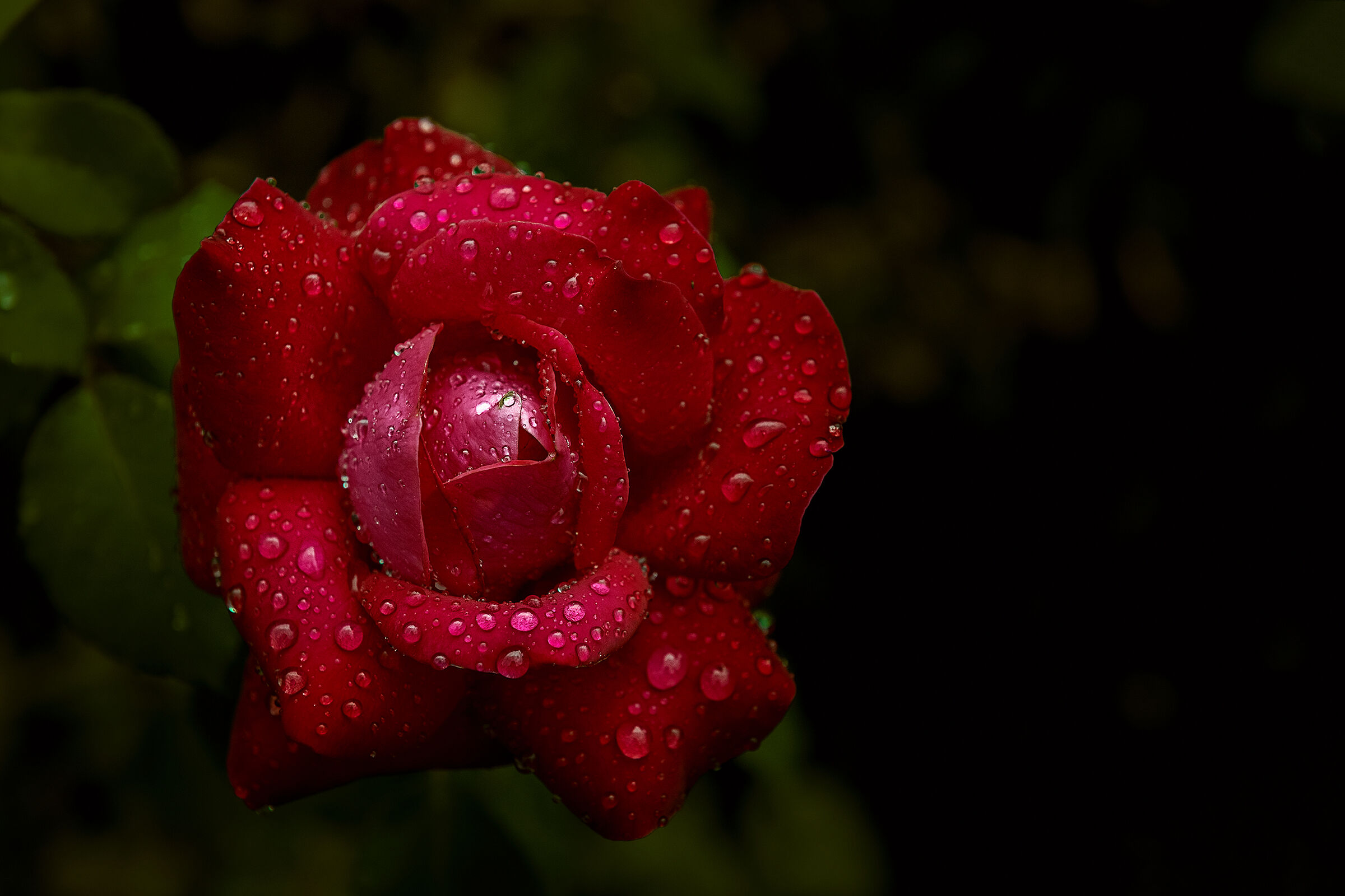 Subito dopo la pioggia