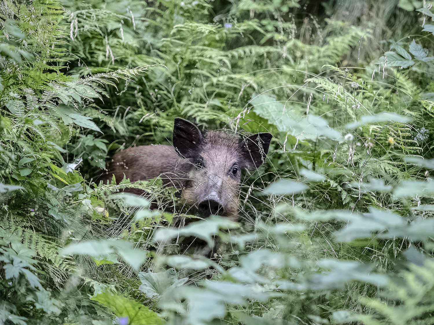 Do we play hide-and-seek?