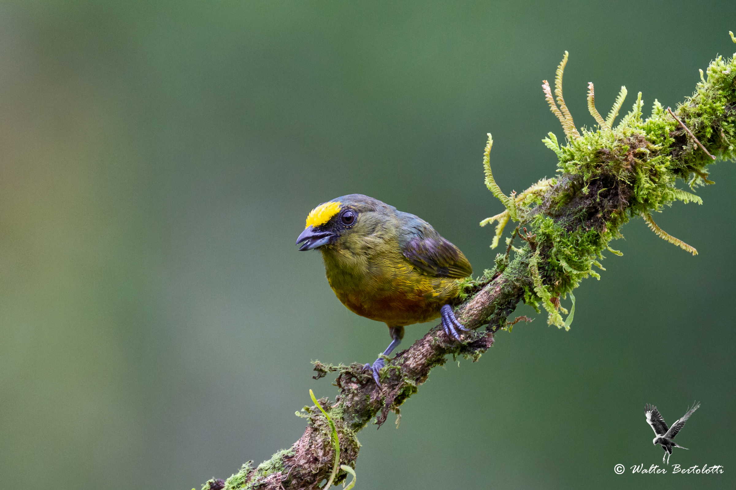 resto solo un momento