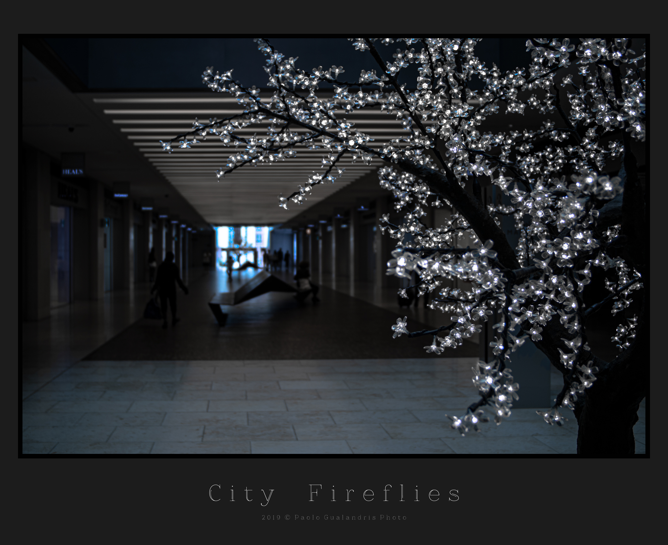 City Fireflies