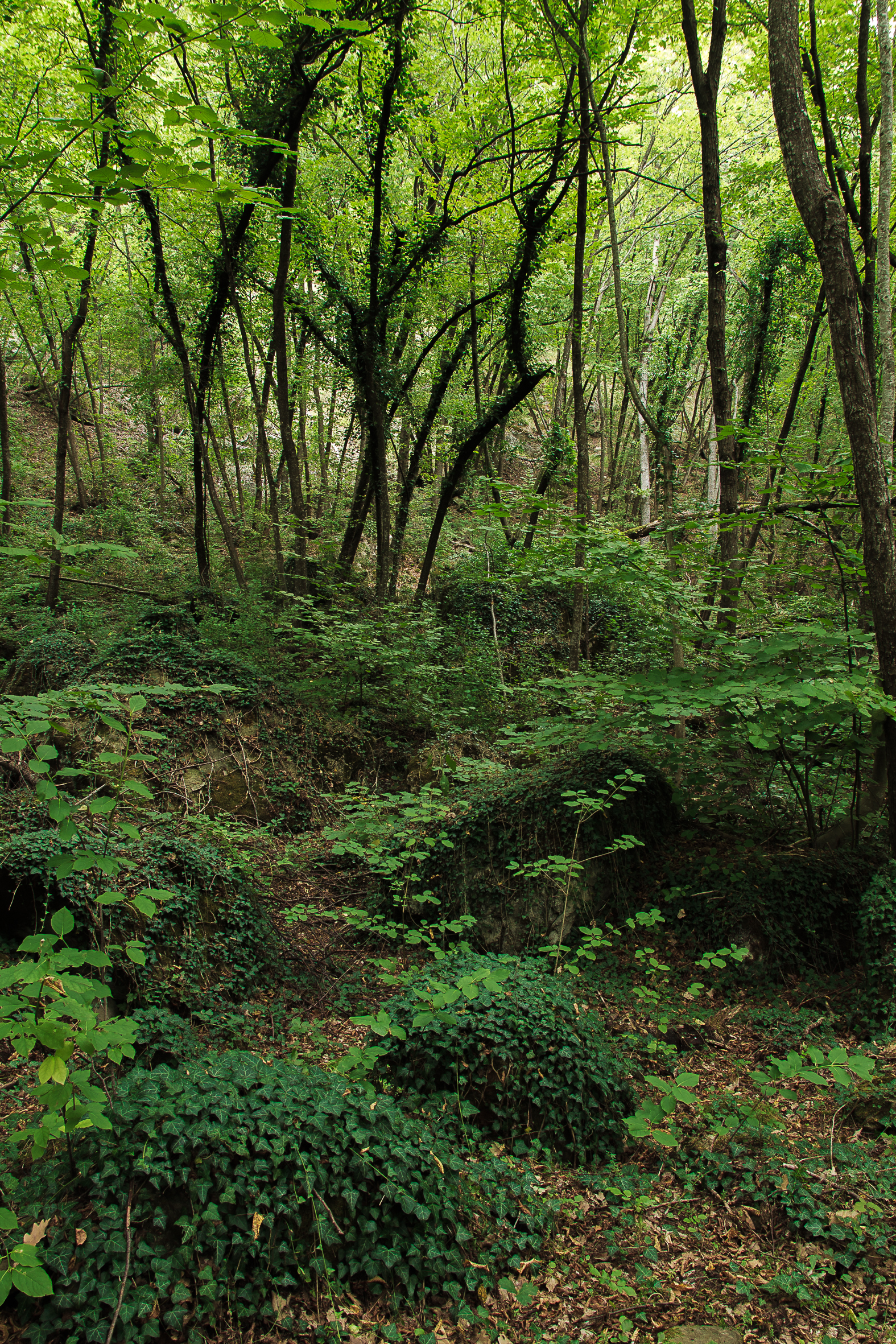 Roccamalatina Rock Park 2