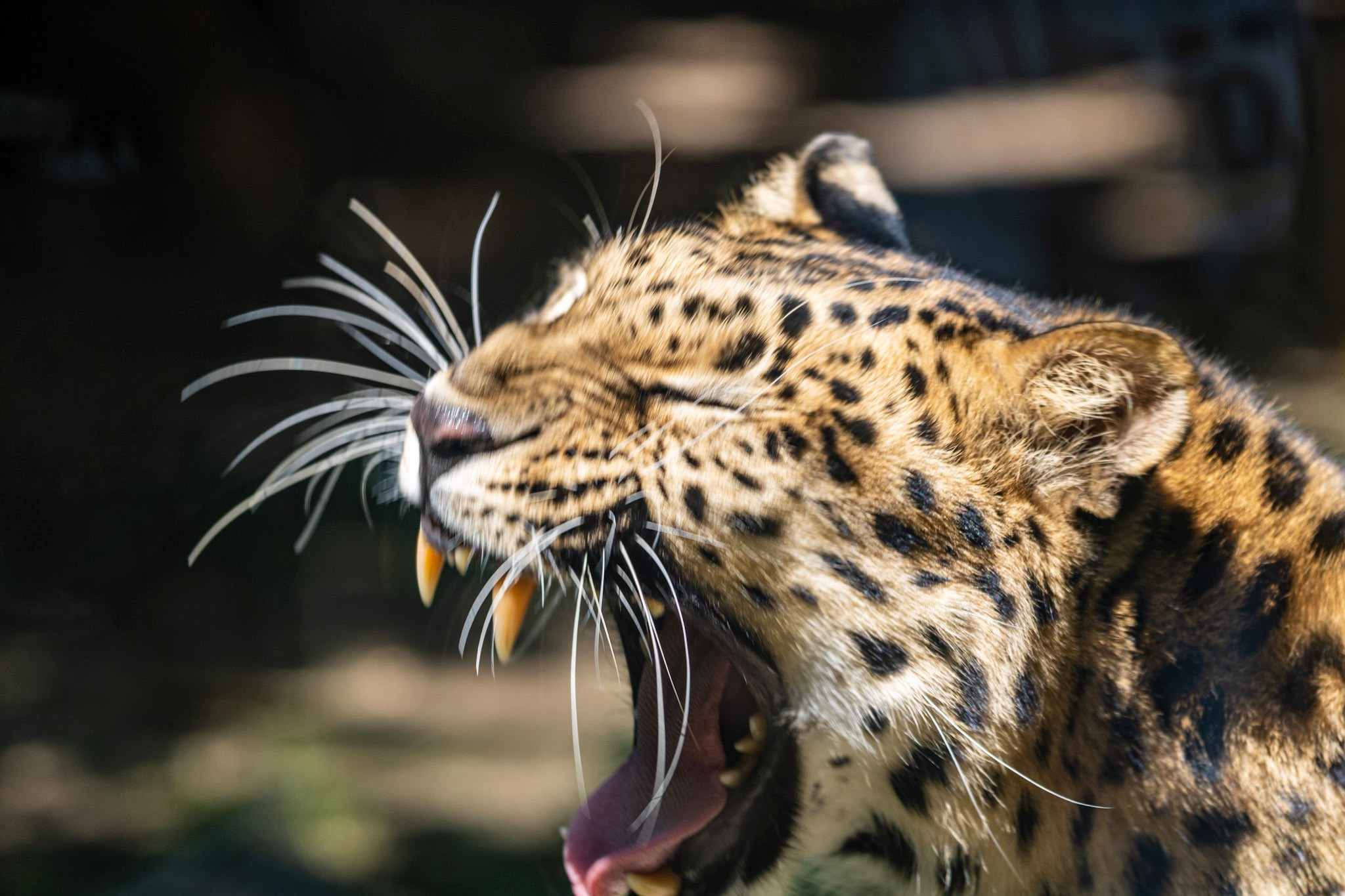 Aaaawwwwnnnn... What a sleep...