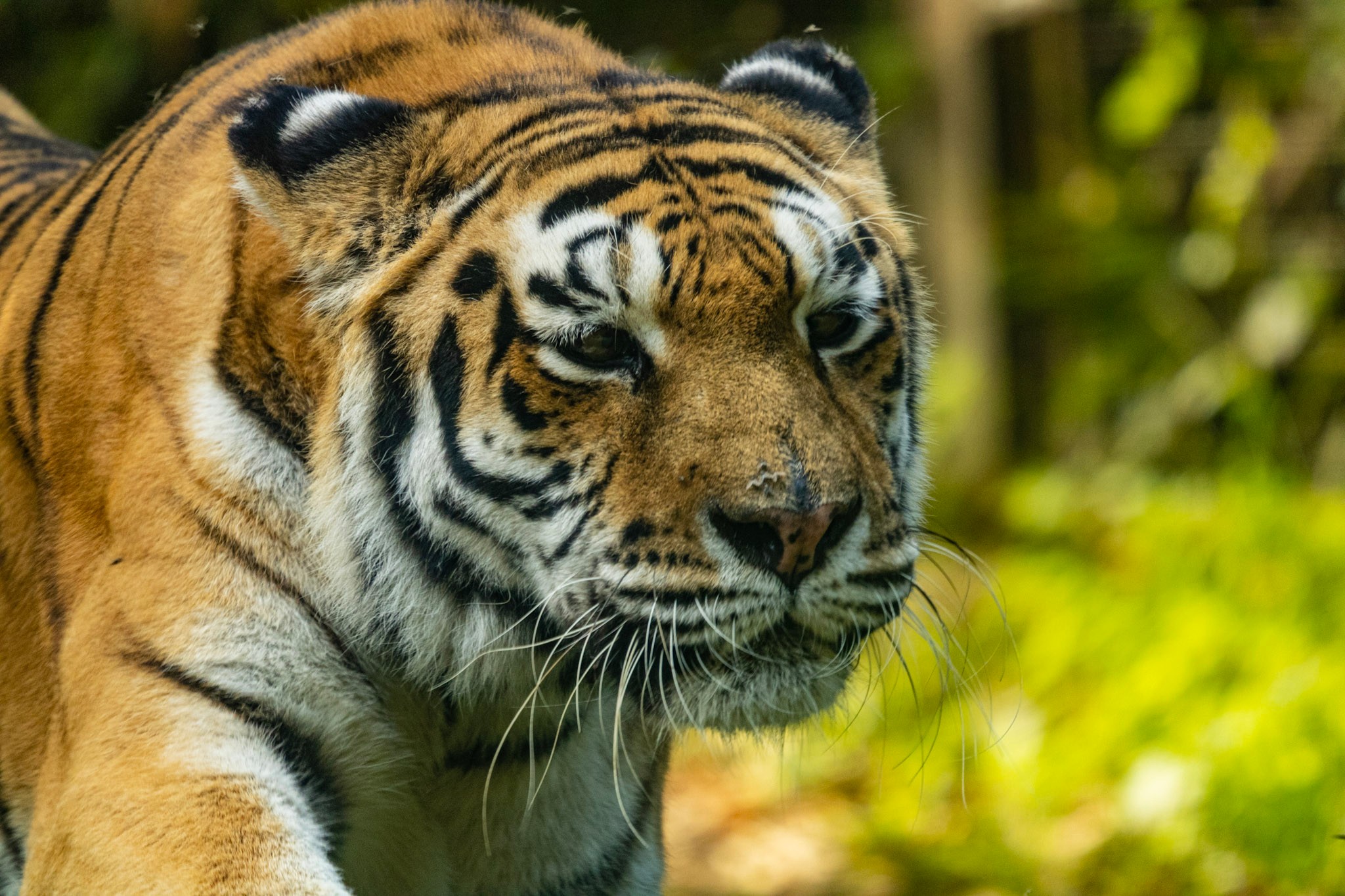 It's useless. I don't look at you!