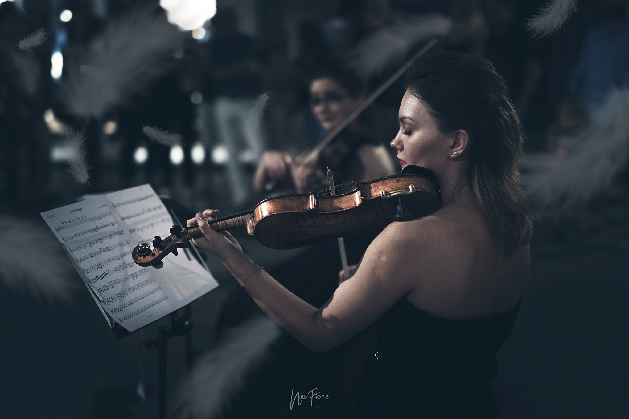 Quisquilia string quartet Polonia