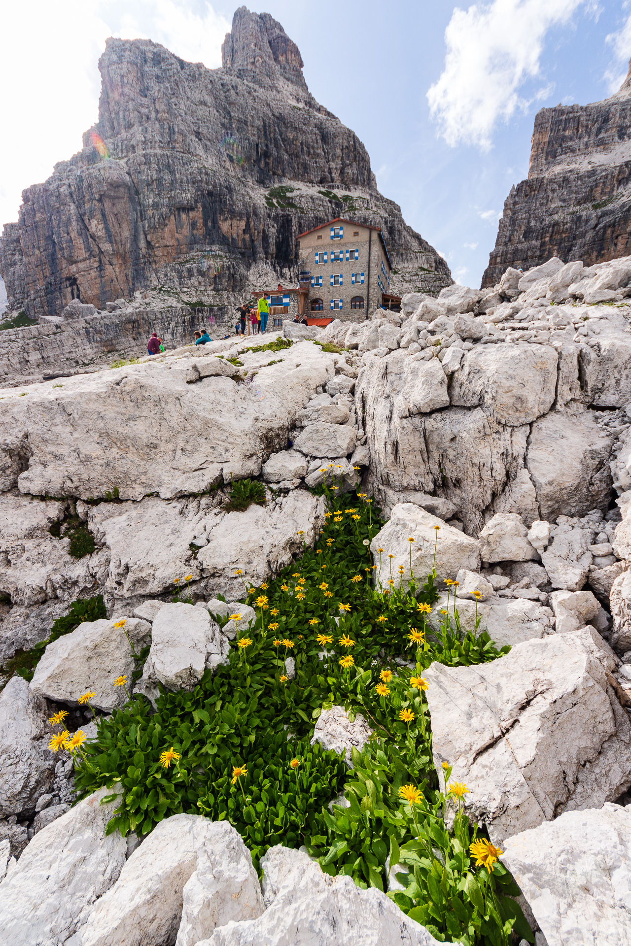 Fioritura dal Pedrotti