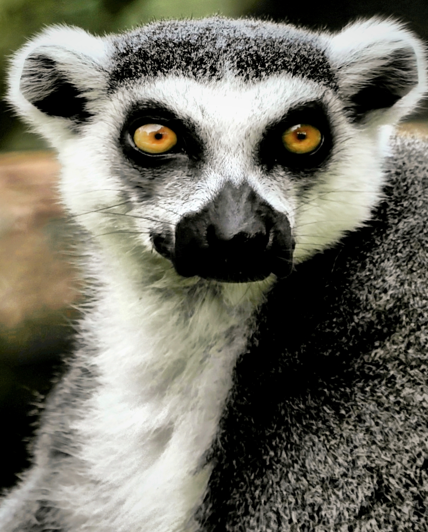 Mi piace se ti muovi...