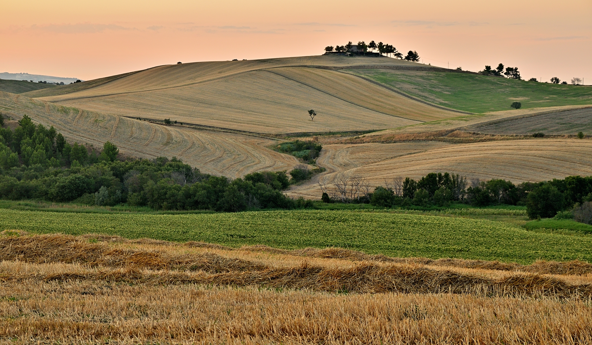 And everything is tinged with pink