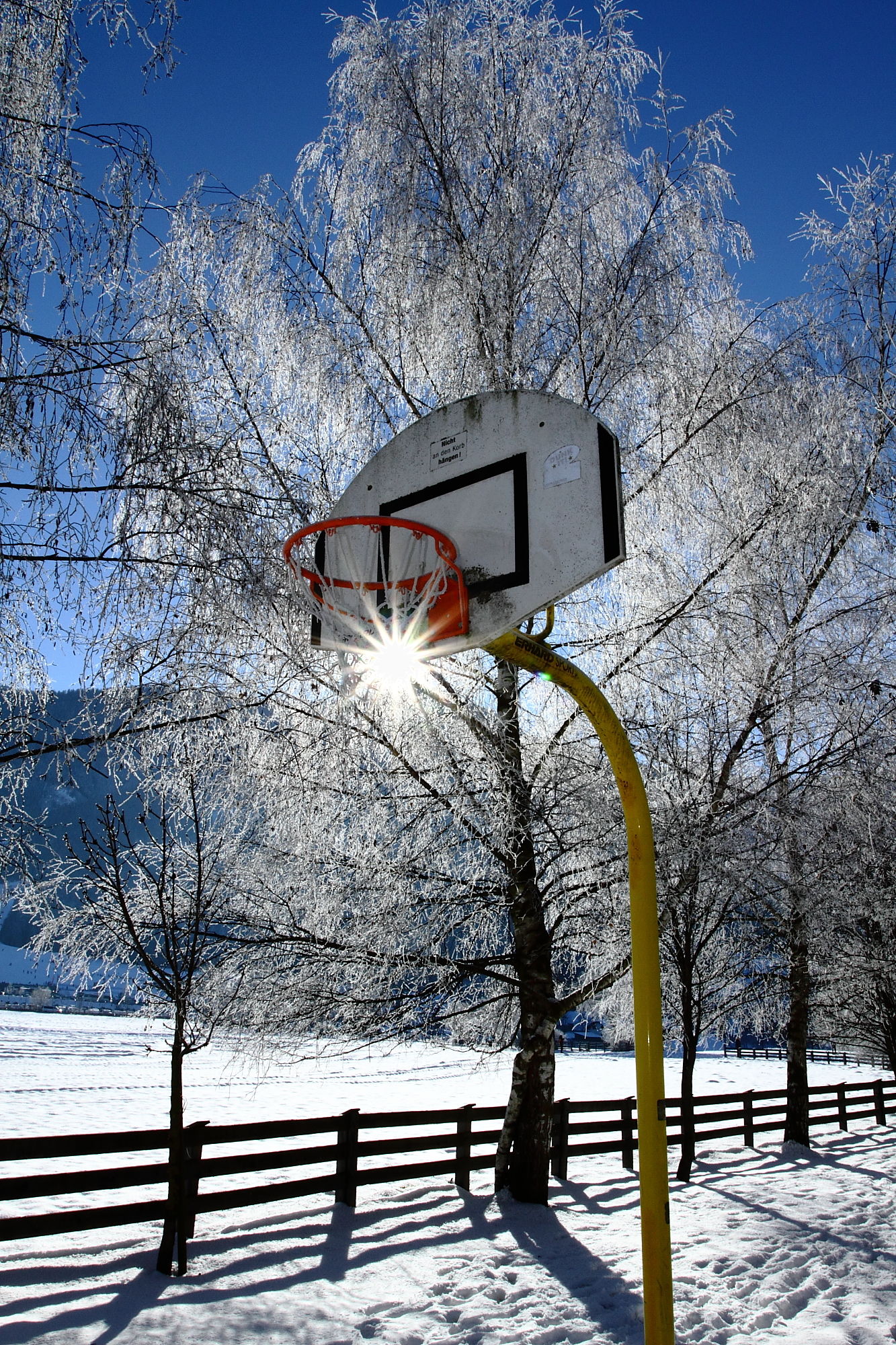 Basket sun