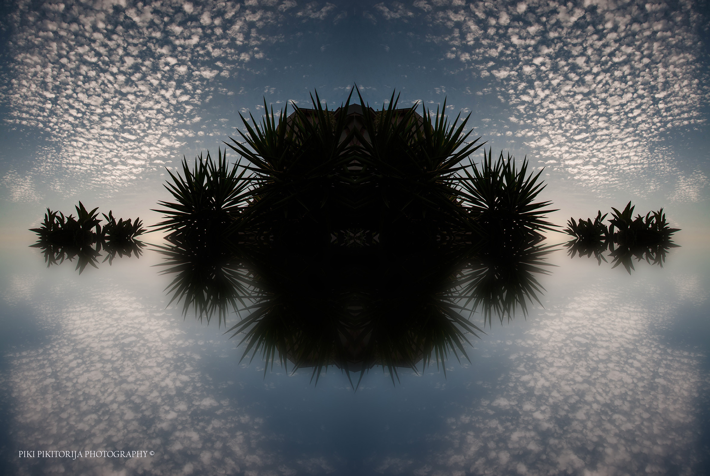 Un anno guardando le nuvole