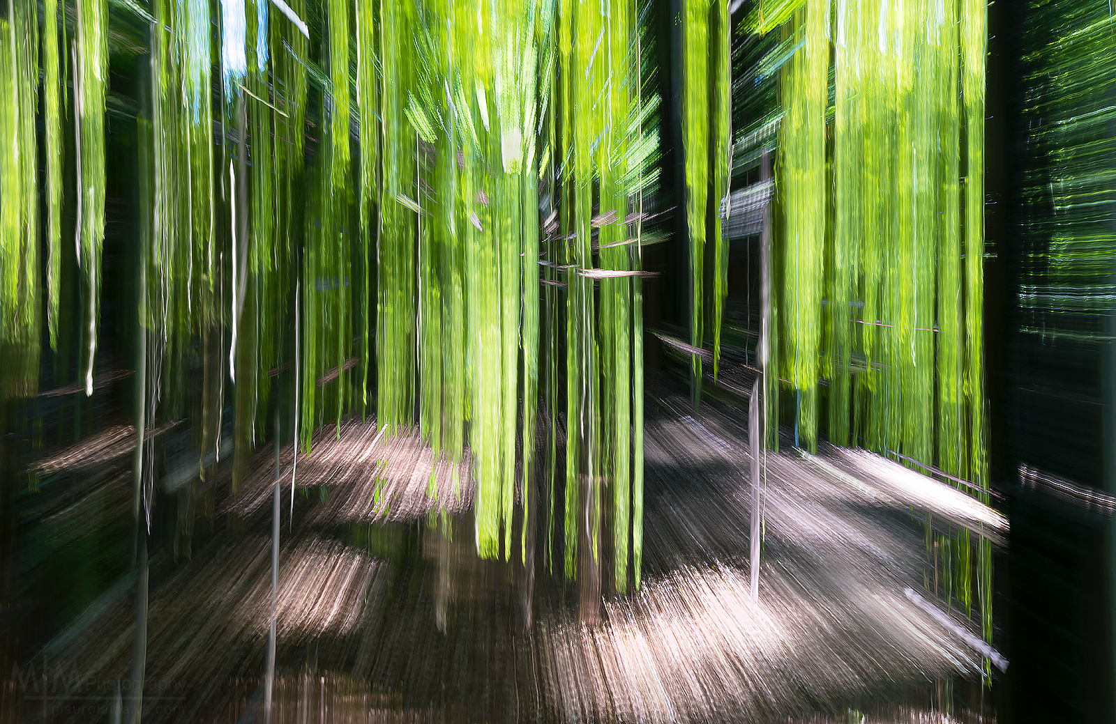 Wood's Matrix